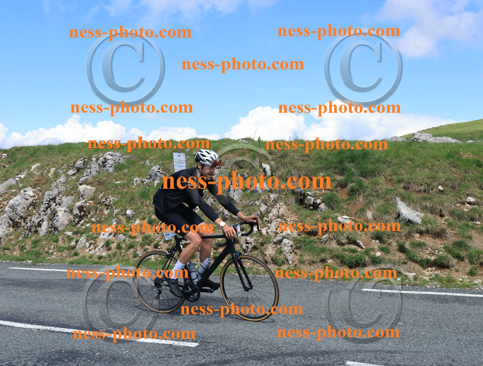 Col du Grand Colombier (1485).JPG