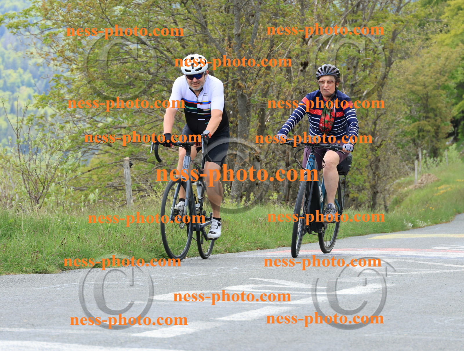 Col du Grand Colombier (570).JPG