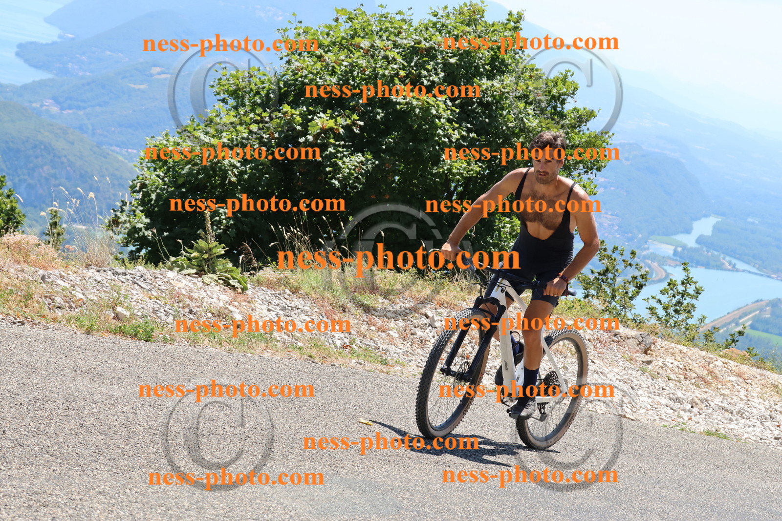 Col du Grand Colombier (606).JPG