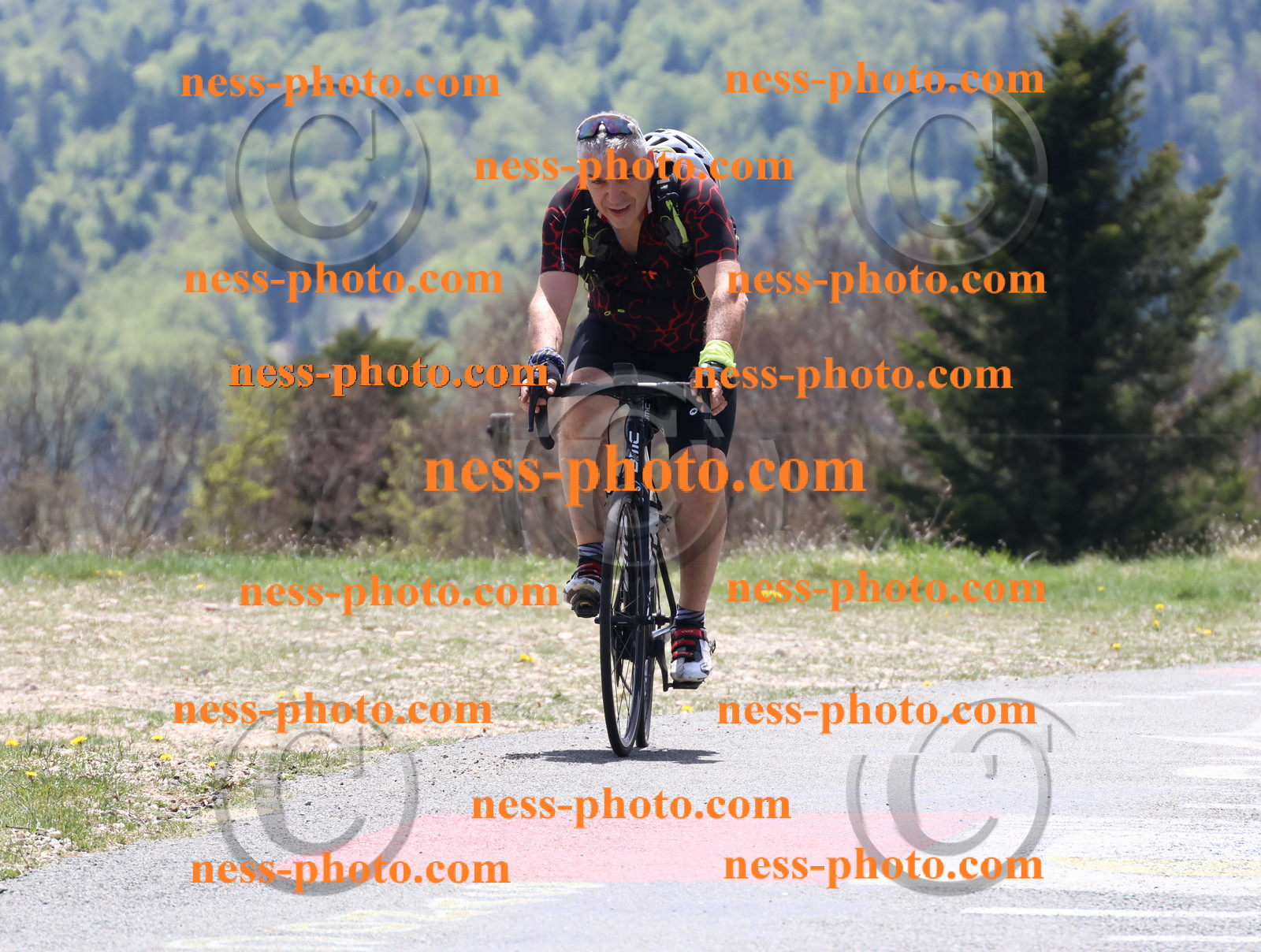 Col du Grand Colombier (455).JPG