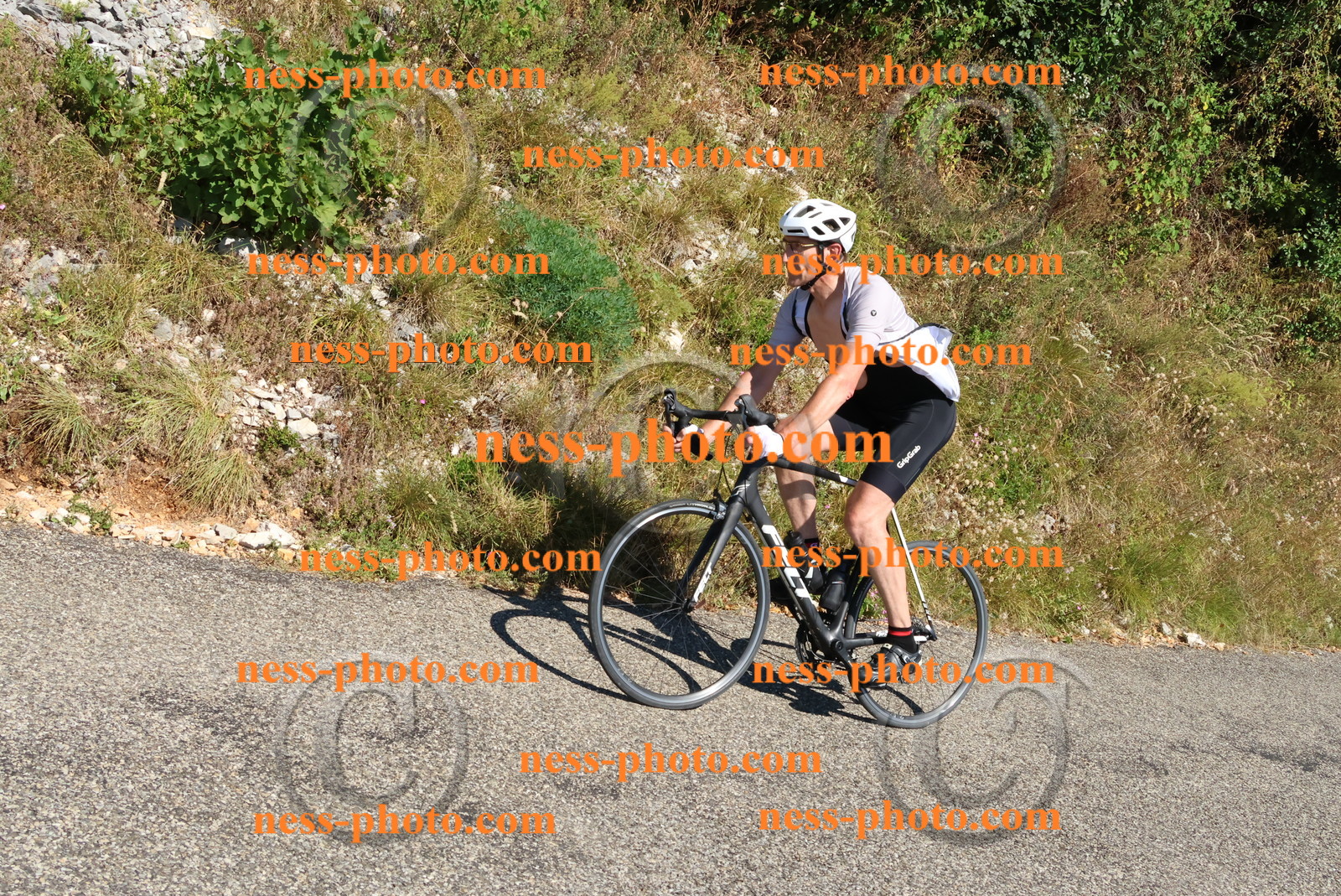 Col du Grand Colombier (254).JPG