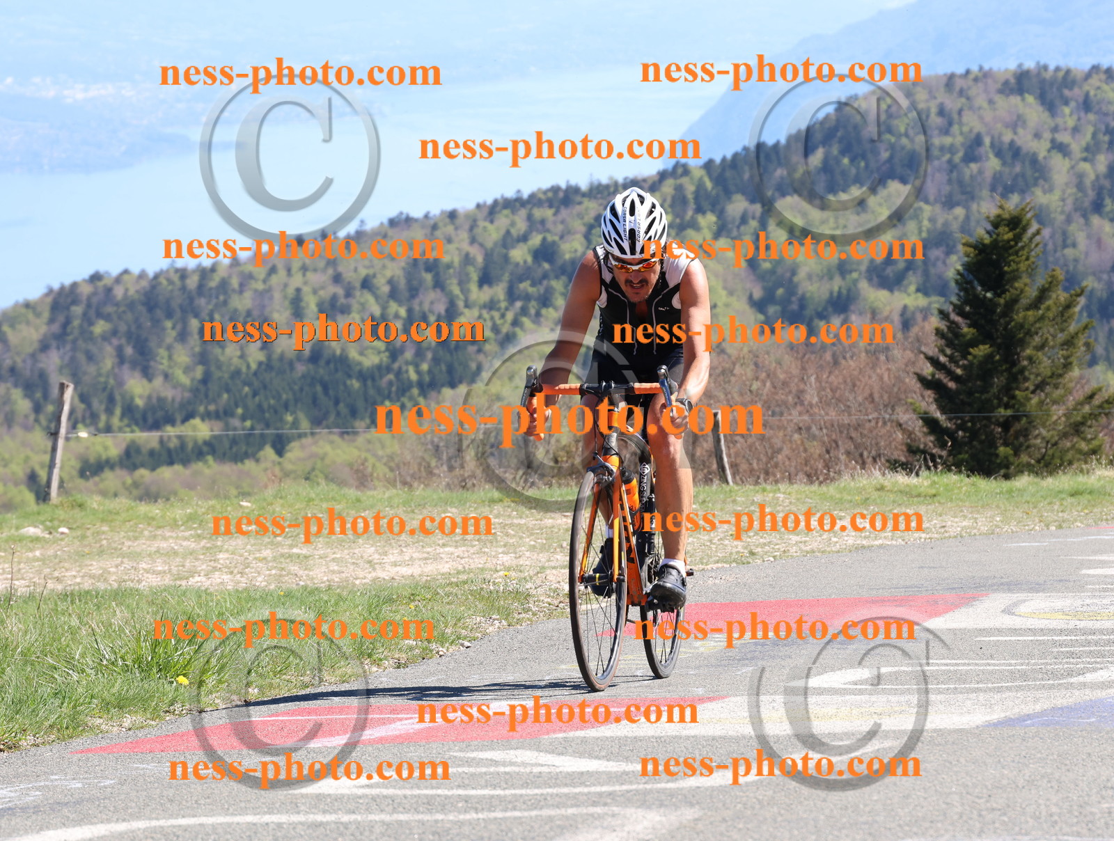 Col du Grand Colombier (1038).JPG