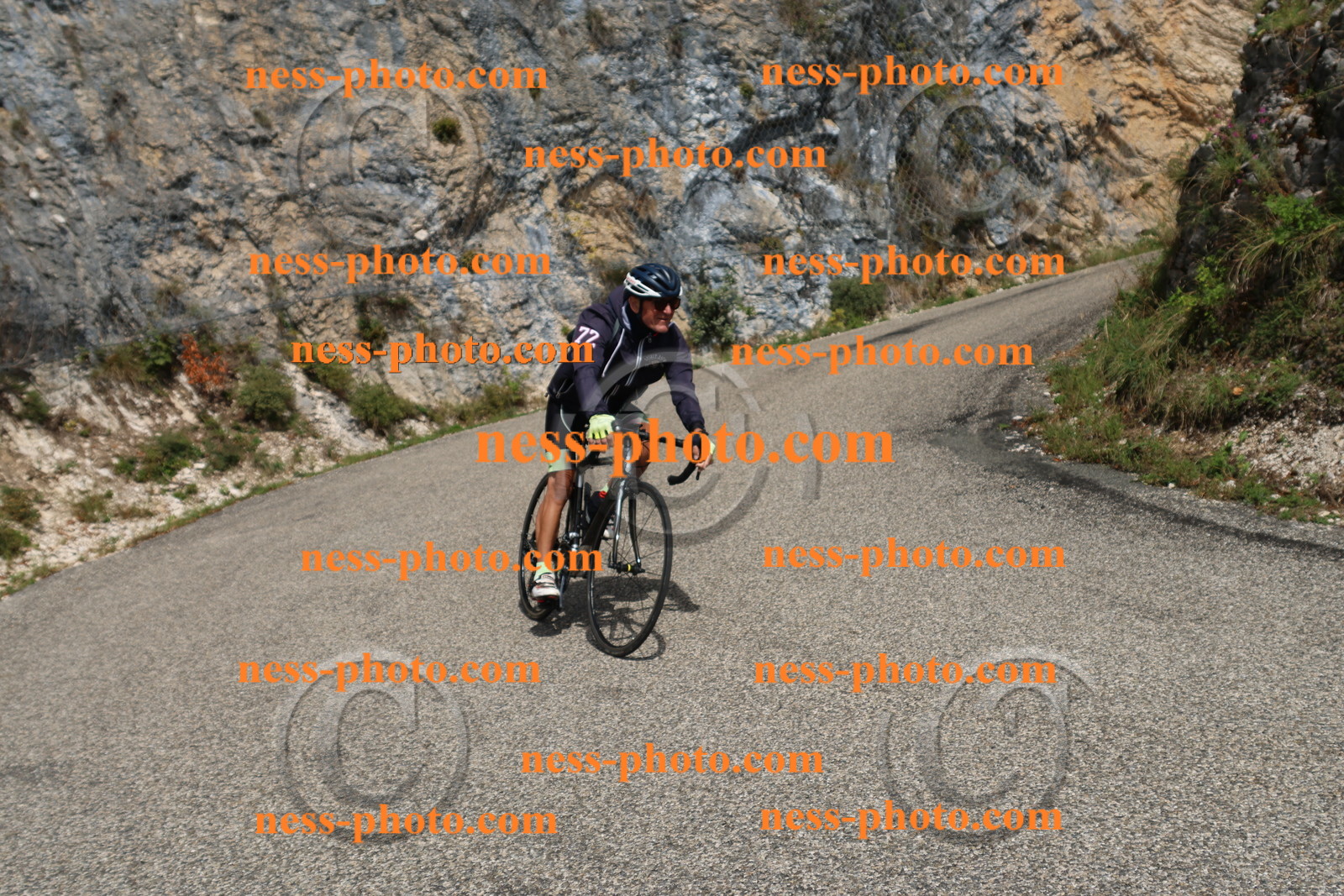 Col du Grand Colombier (574).JPG