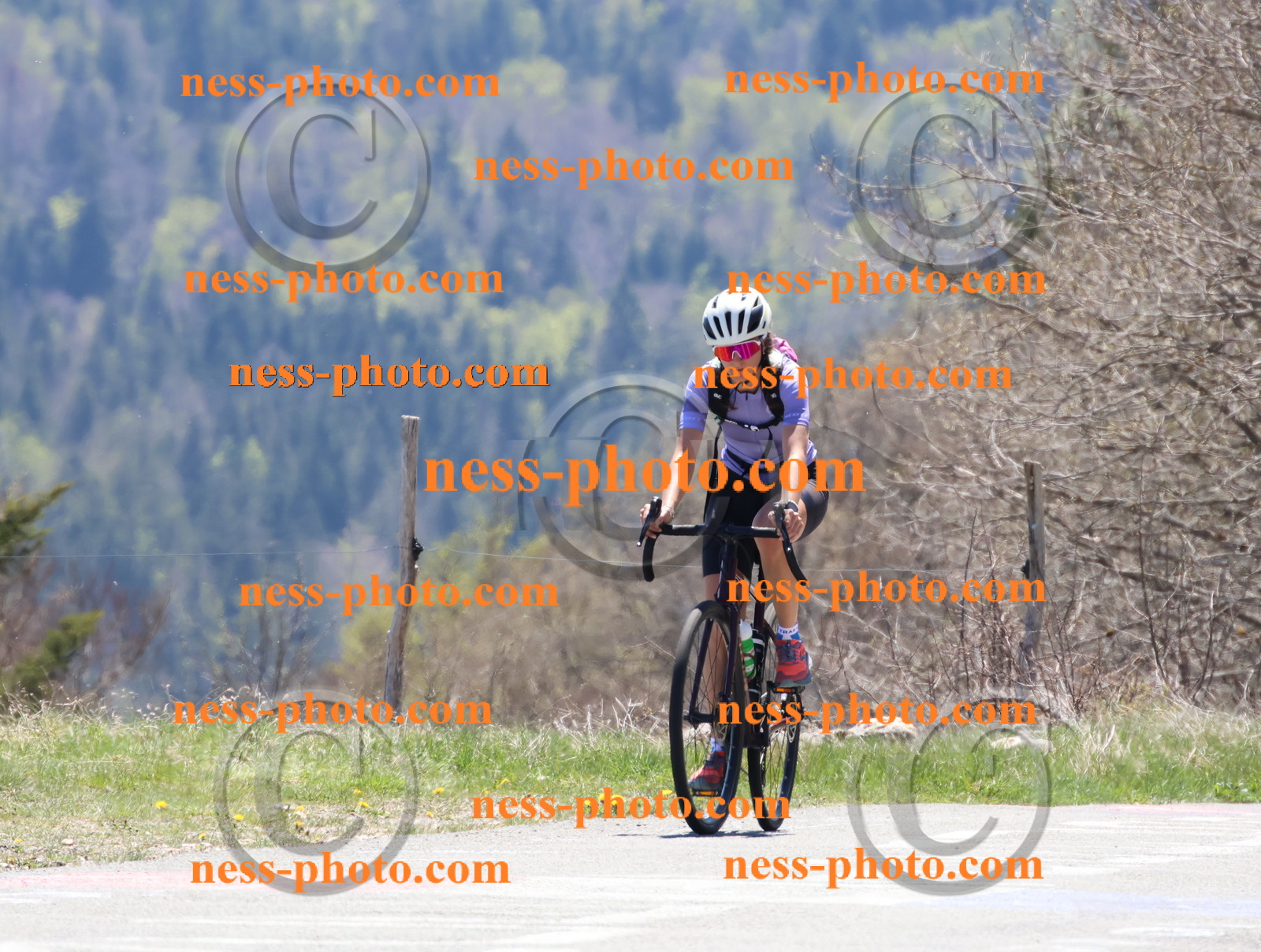 Col du Grand Colombier (570).JPG