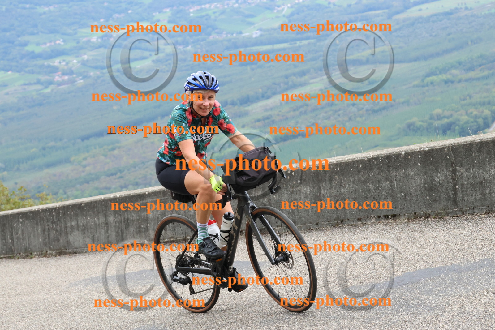 Col du Grand Colombier (2075).JPG