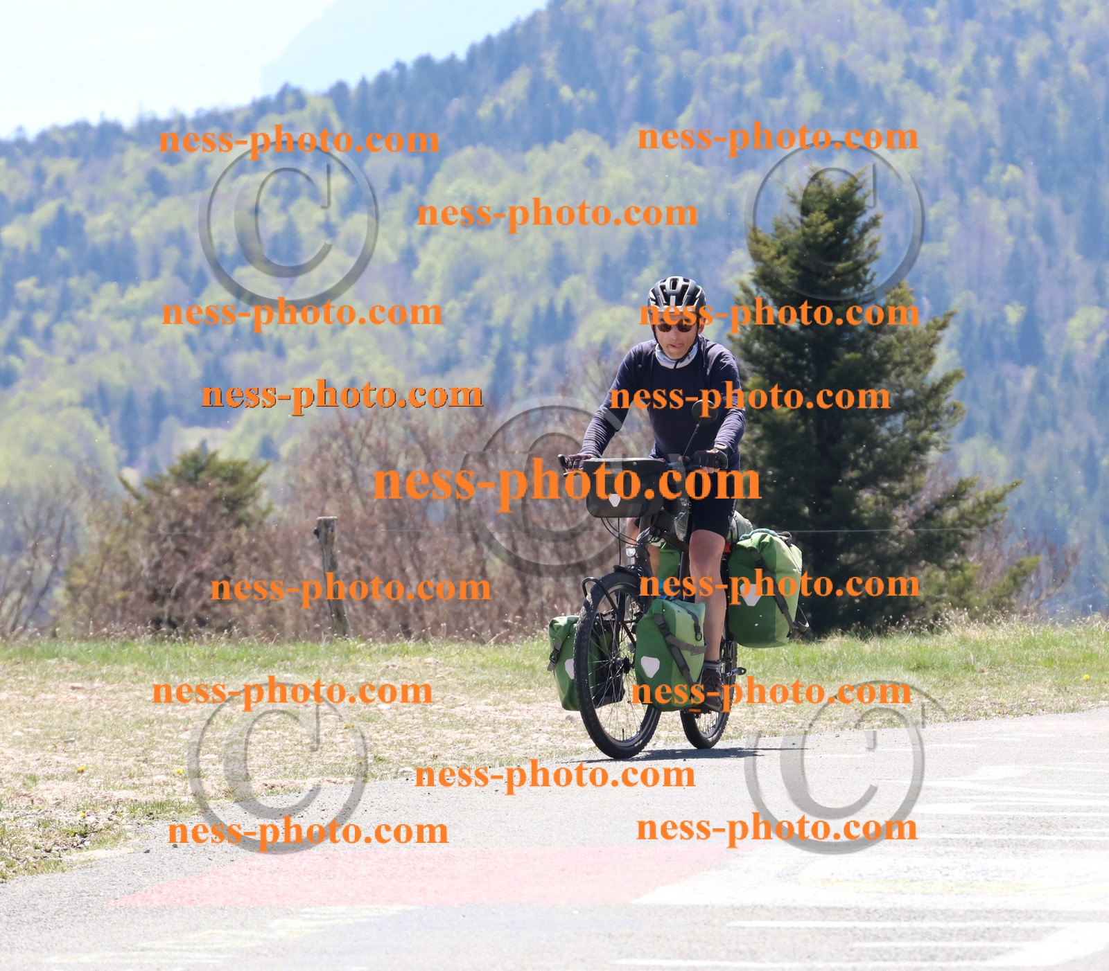 Col du Grand Colombier (439).JPG