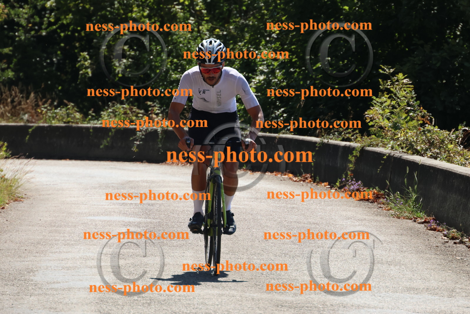 Col du Grand Colombier (86).JPG