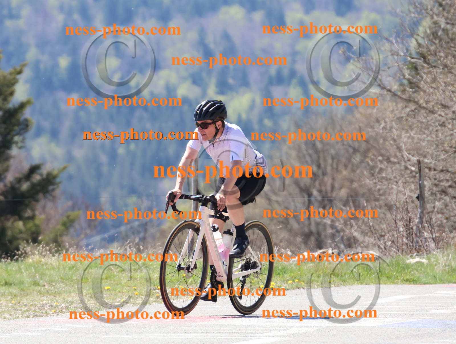 Col du Grand Colombier (201).JPG