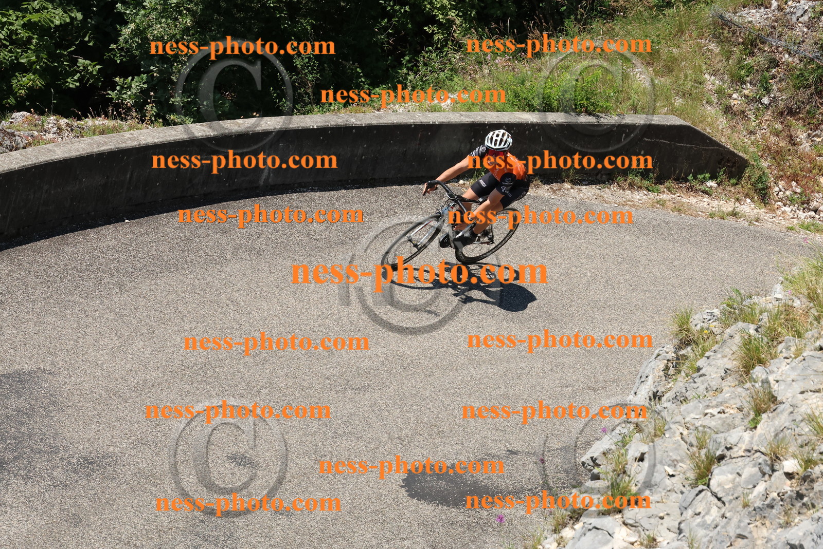 Col du Grand Colombier (502).JPG