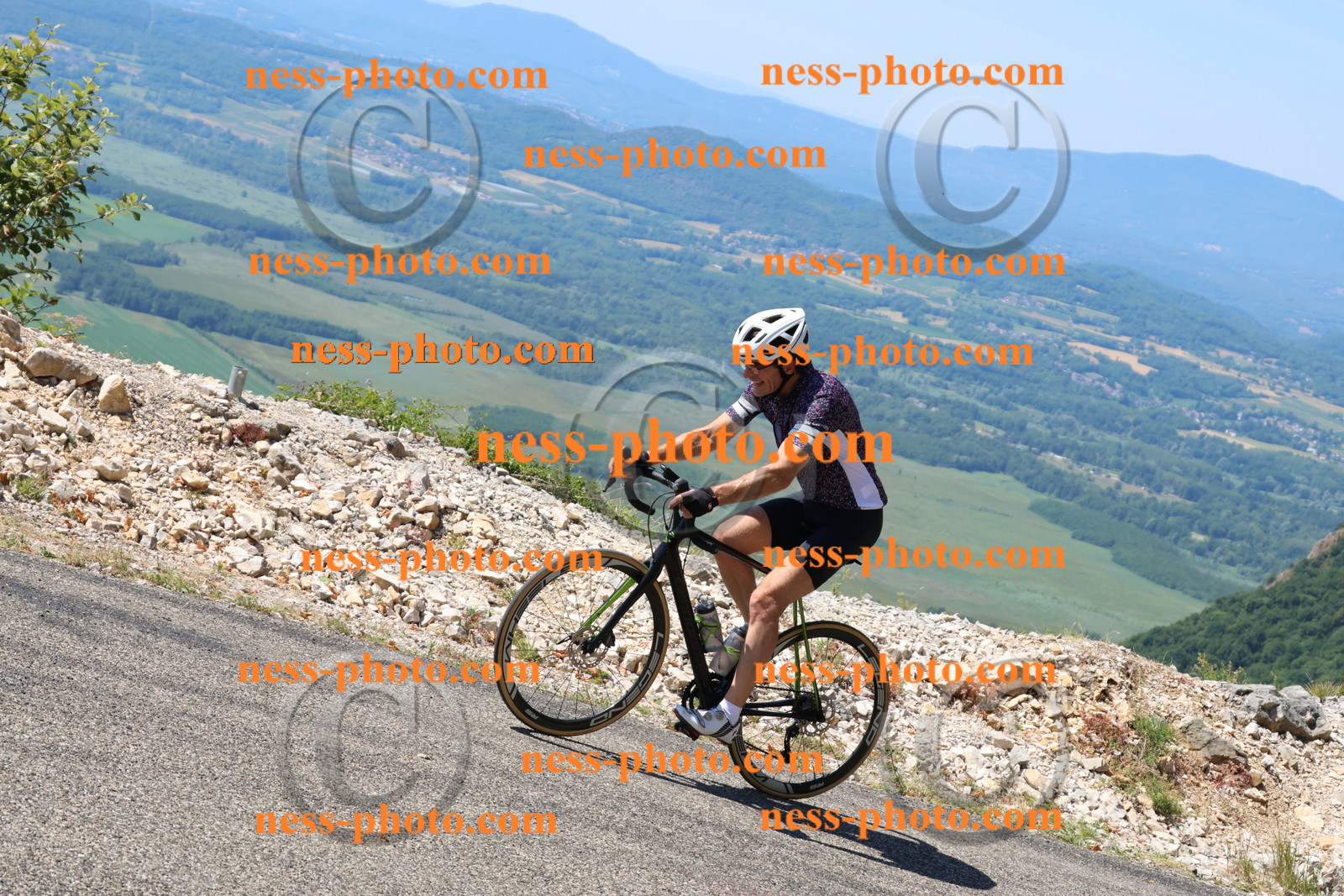 Col du Grand Colombier (2482).JPG