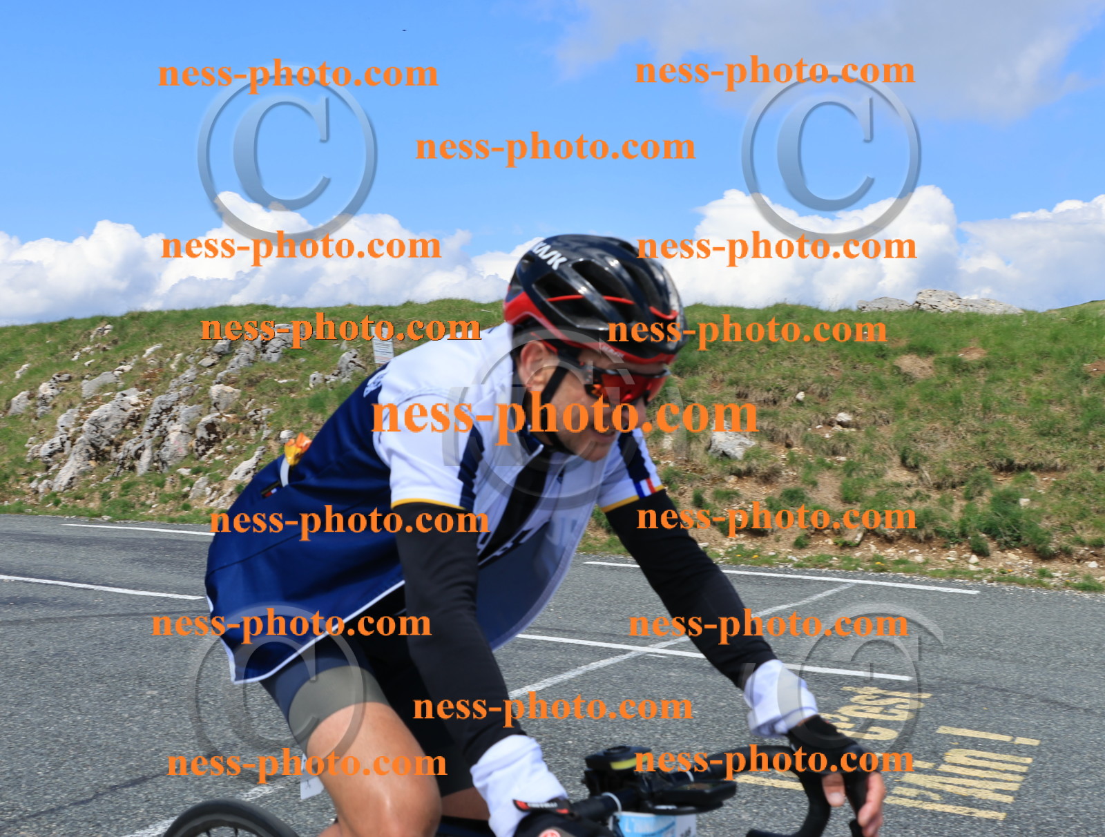 Col du Grand Colombier (2462).JPG