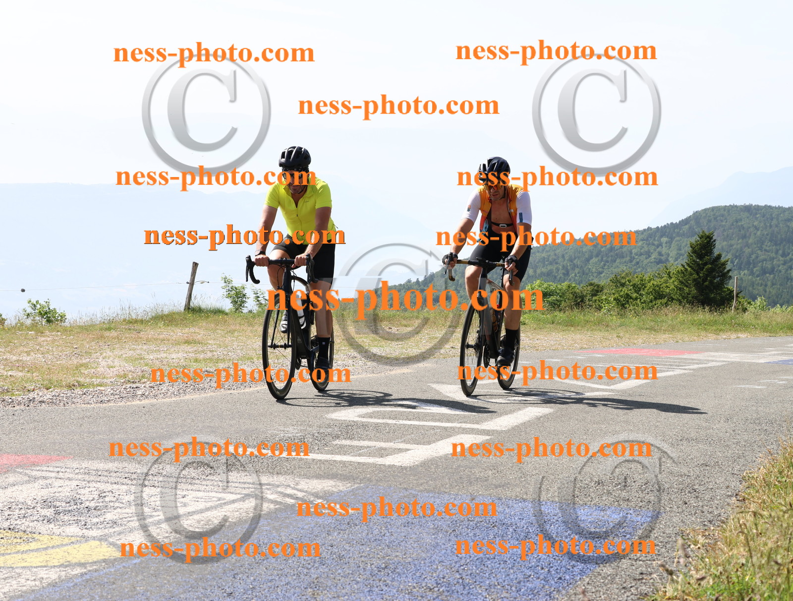 Col du grand Colombier (749).JPG