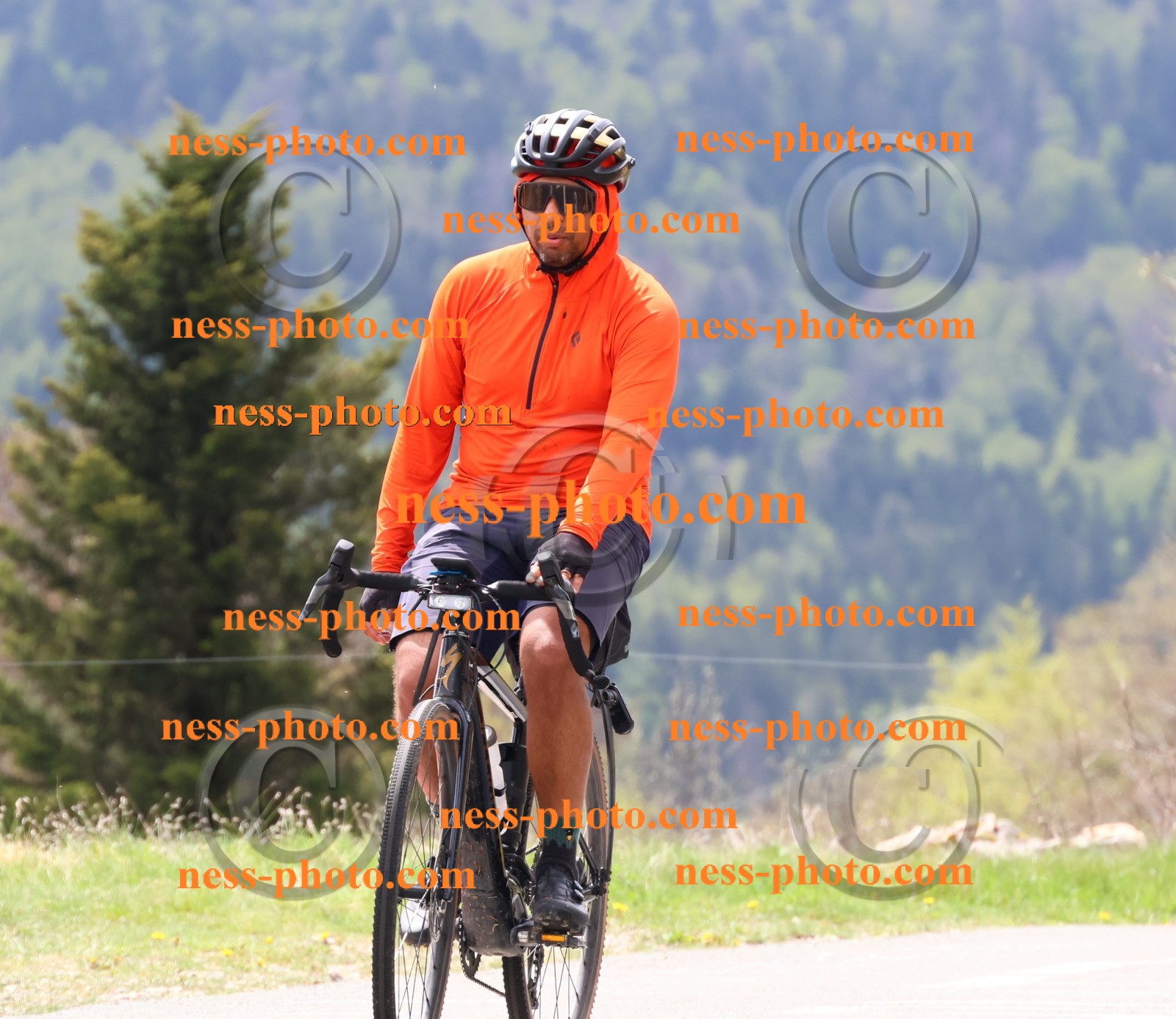 Col du Grand Colombier (136).JPG