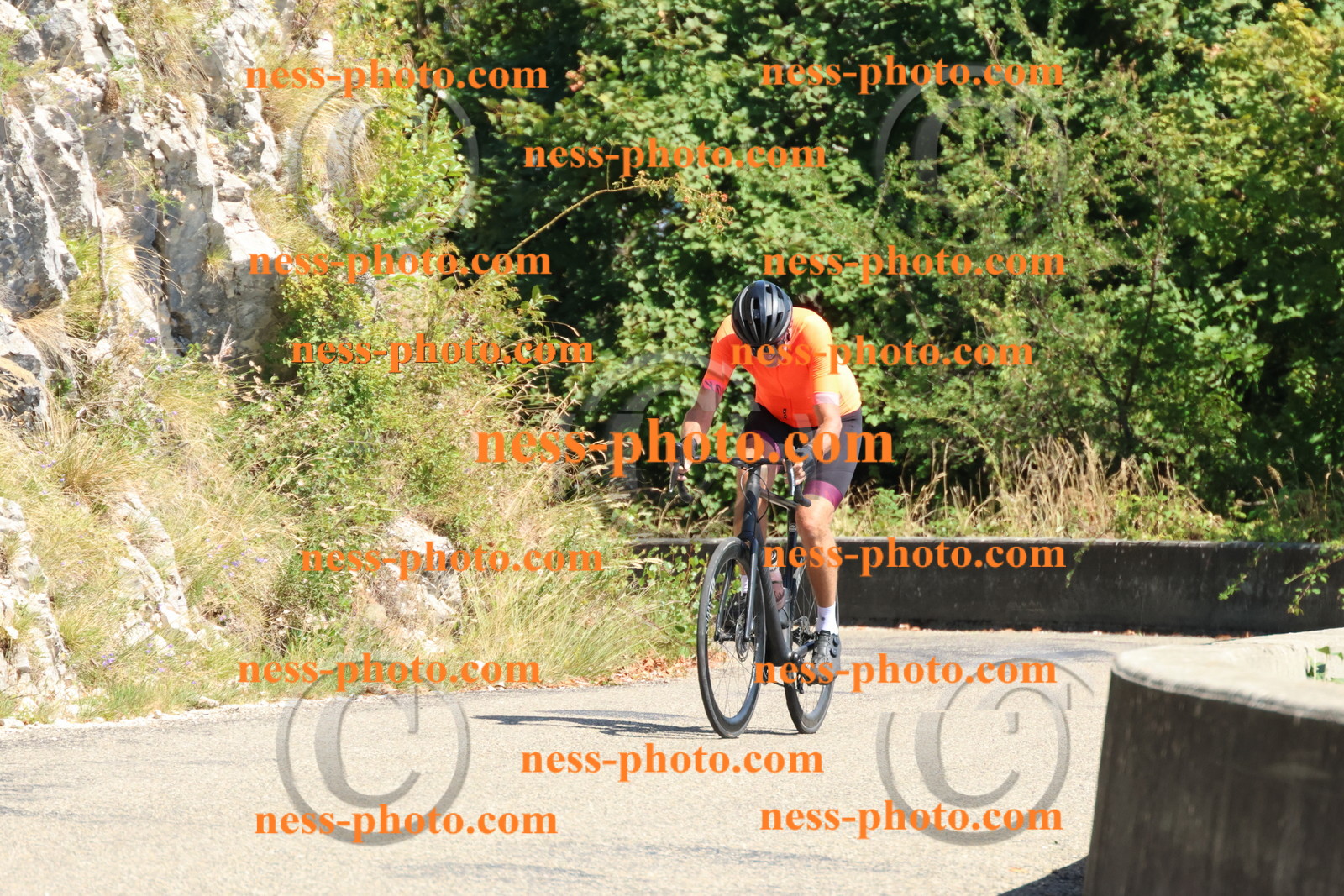 Col du Grand Colombier (628).JPG
