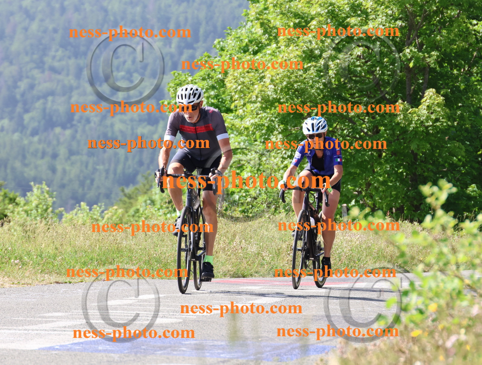 Col du grand Colombier (580).JPG