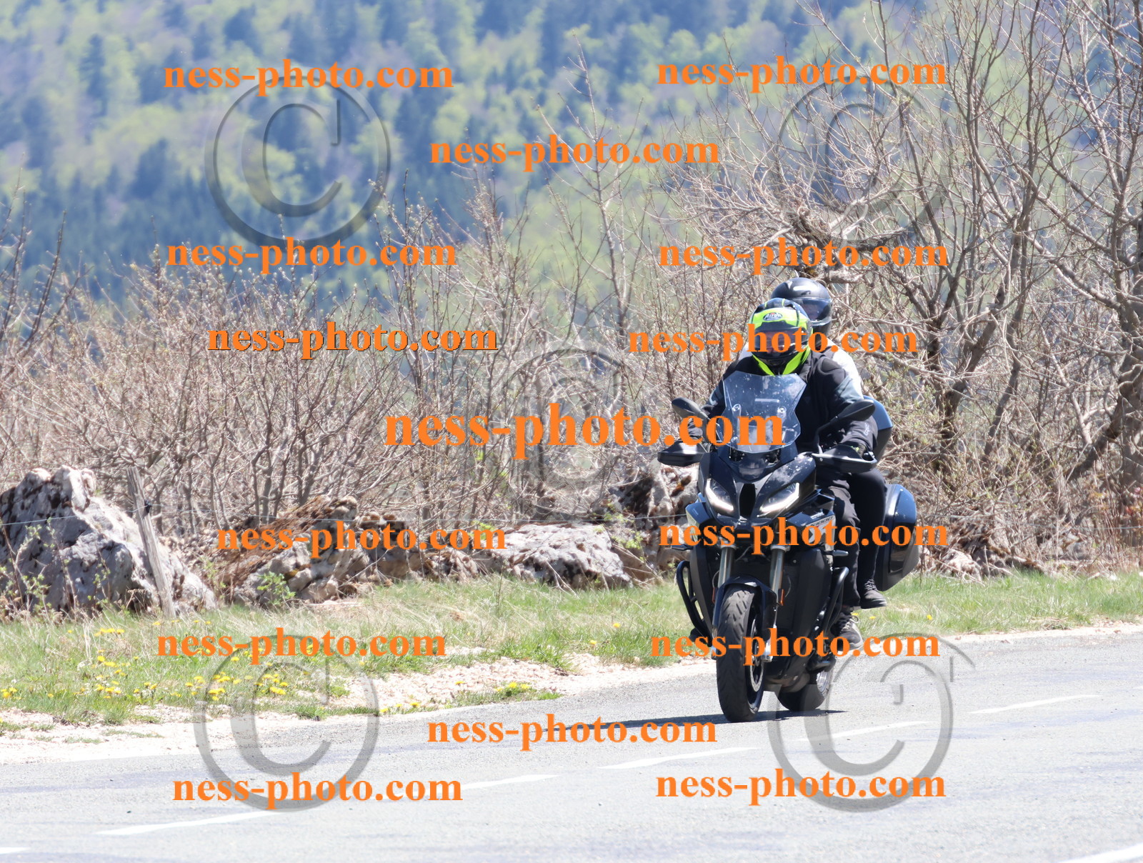 Col du Grand Colombier (195).JPG