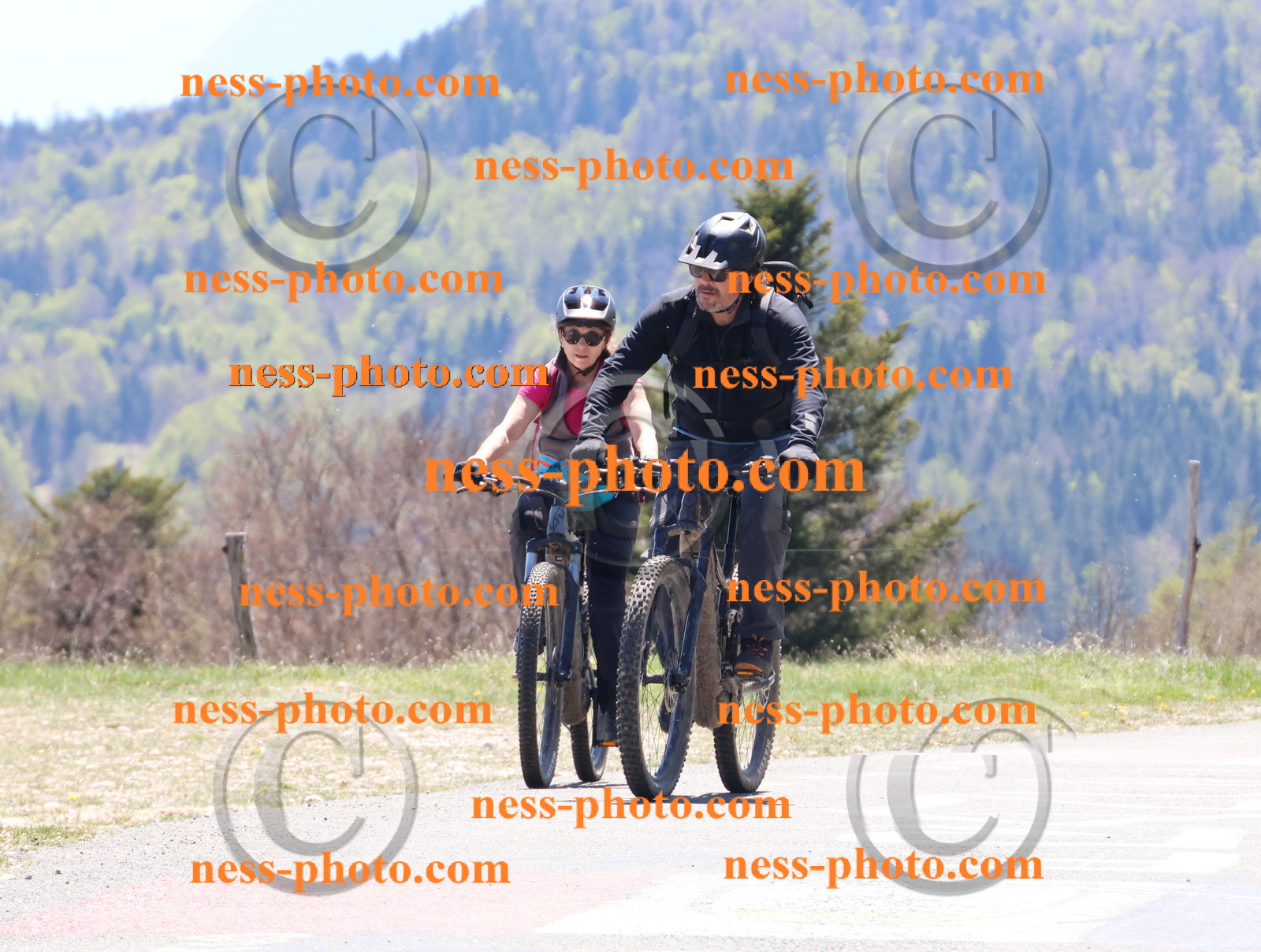 Col du Grand Colombier (519).JPG