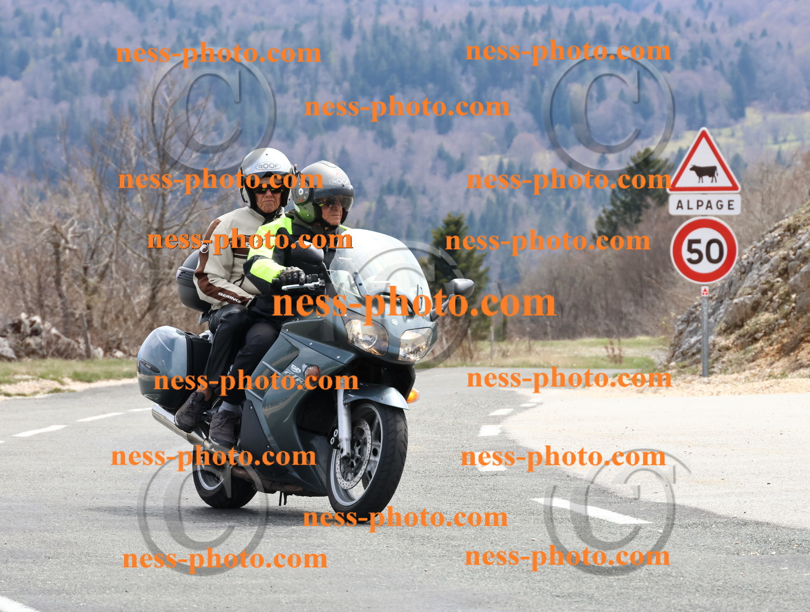 Col  du Grand Colombier (48).JPG