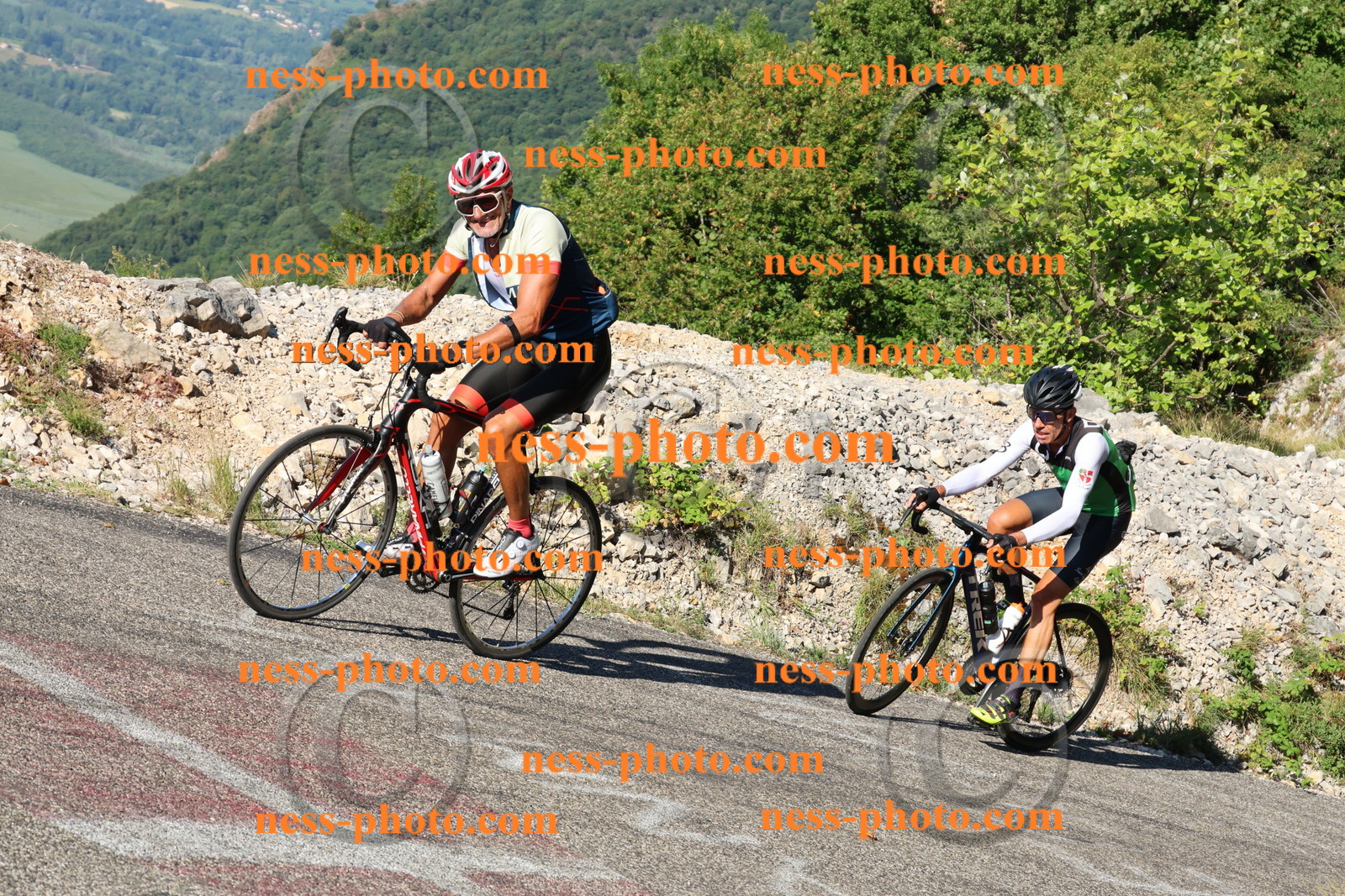 Col du Grand Colombier (747).JPG