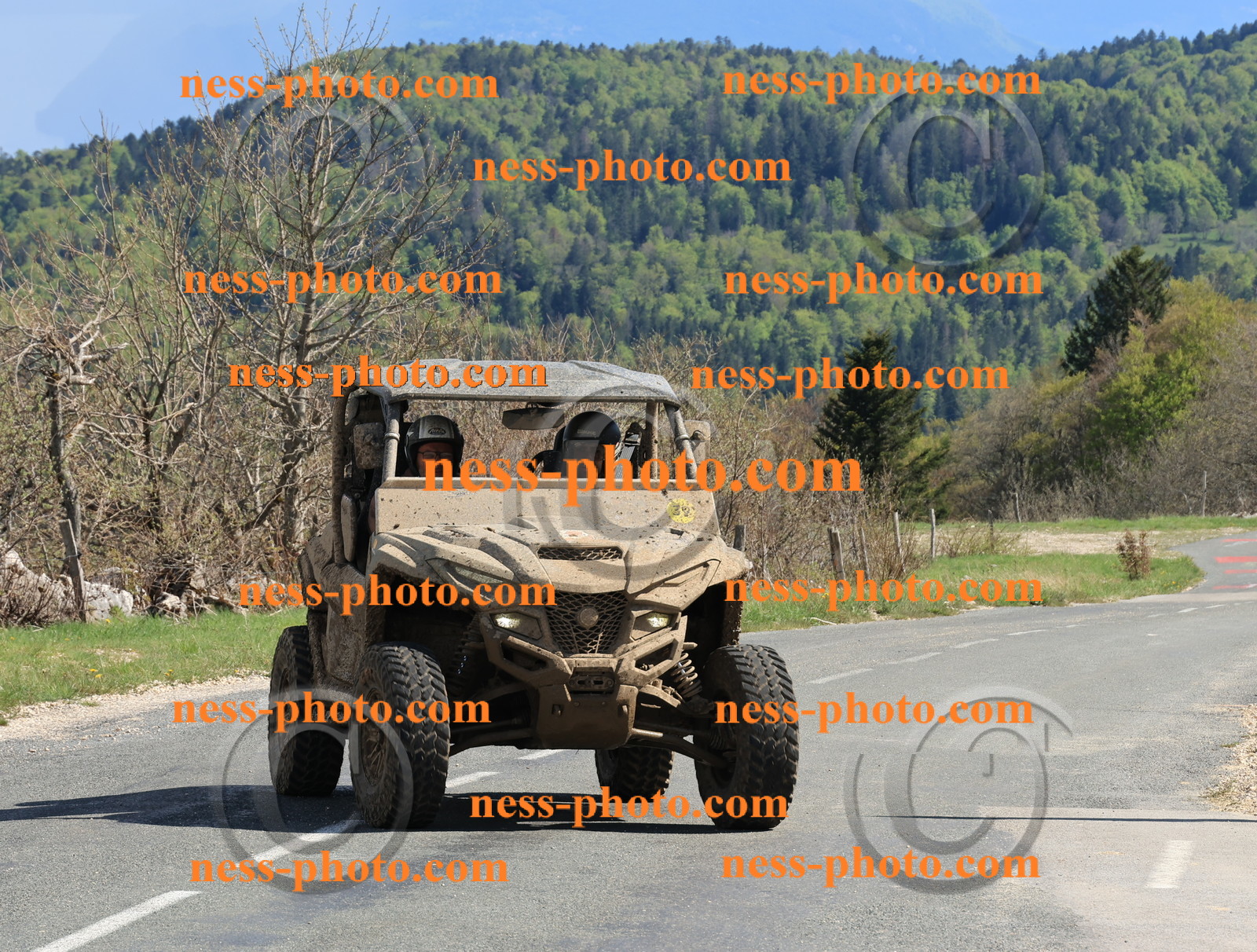 Col du Grand Colombier (231).JPG