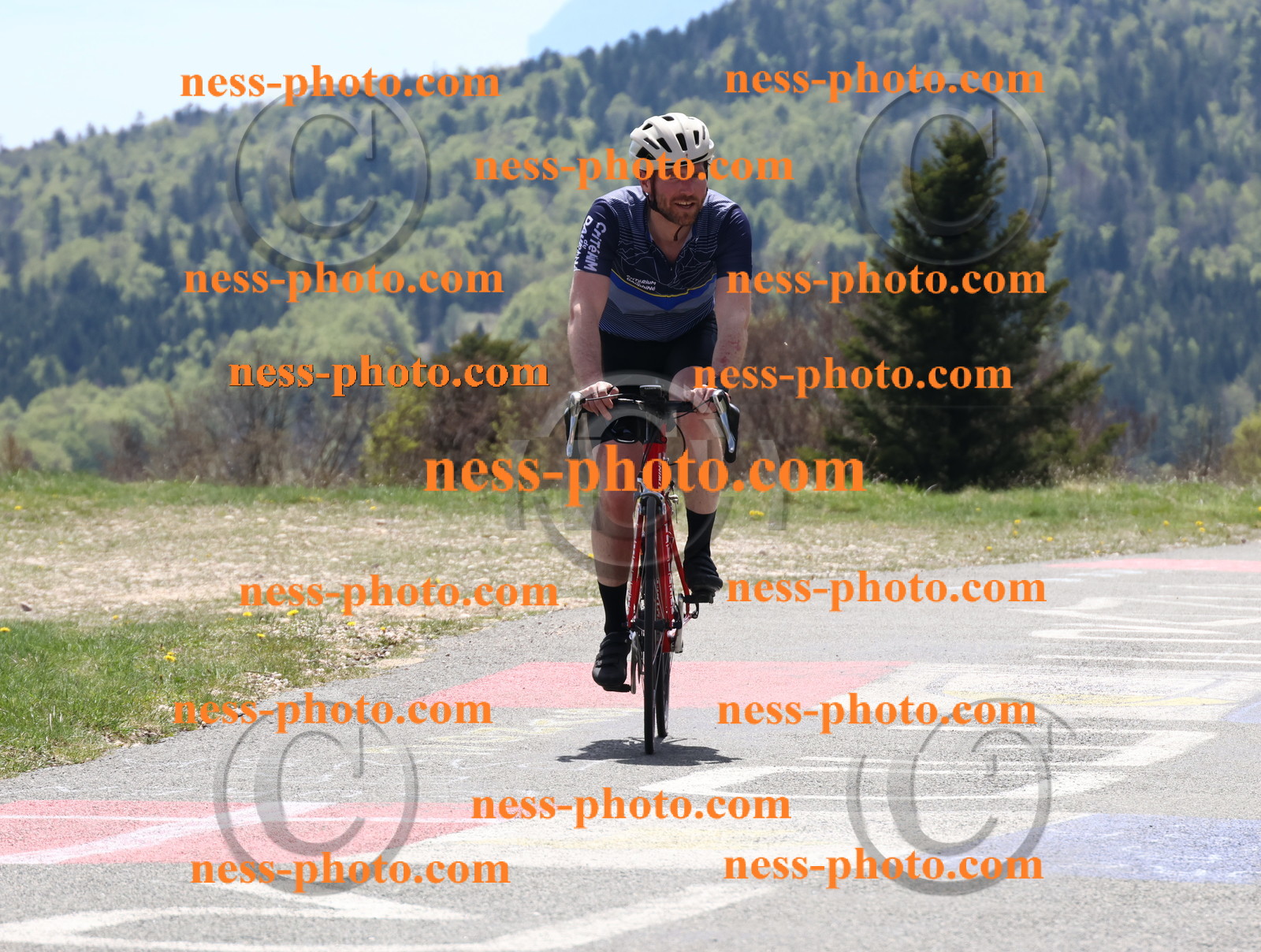 Col du Grand Colombier (393).JPG