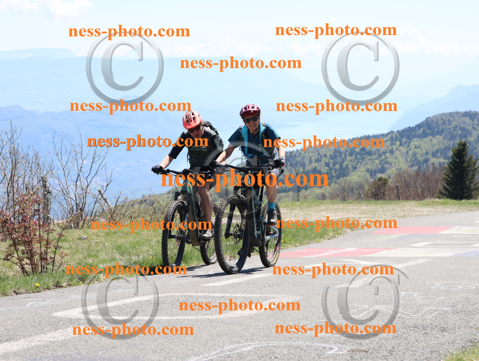 Col du Grand Colombier (740).JPG