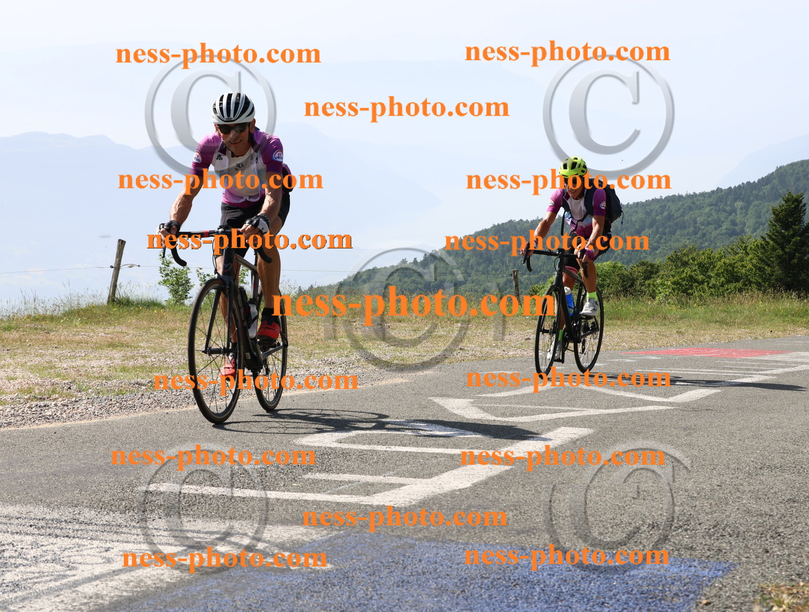 Col du grand Colombier (417).JPG