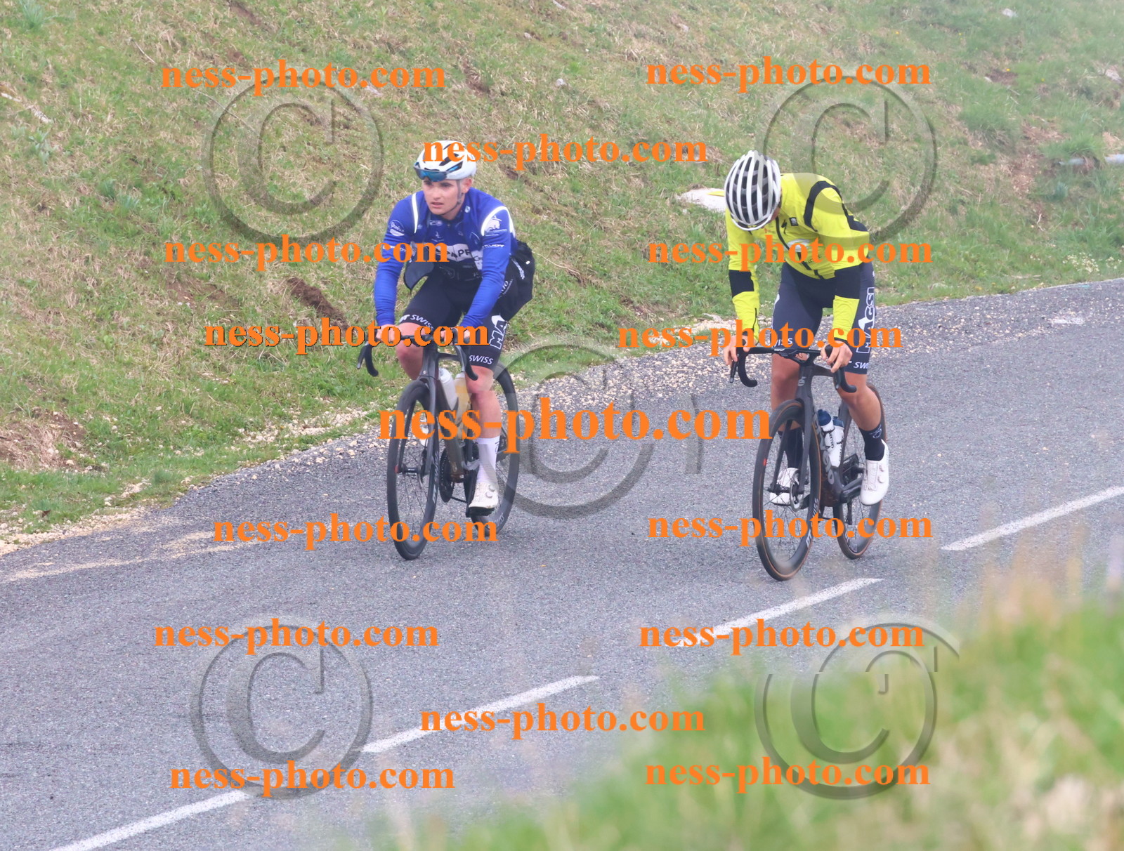 Col du Grand Colombier (355).JPG