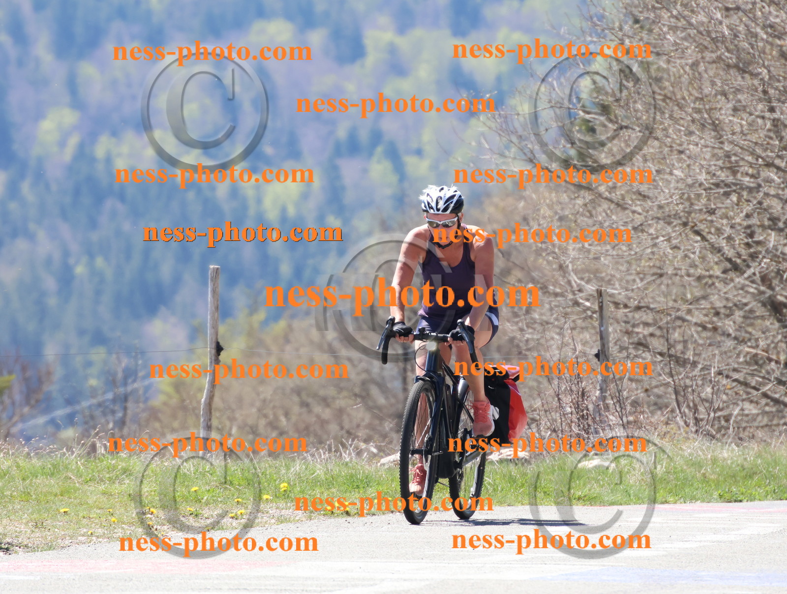 Col du Grand Colombier (268).JPG