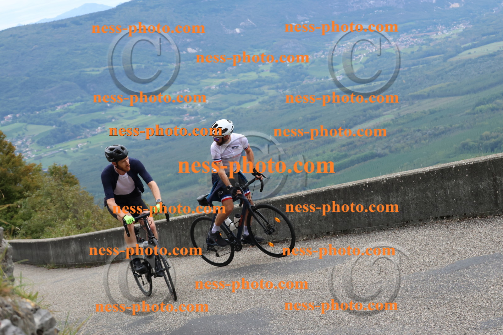 Col du Grand Colombier (1408).JPG