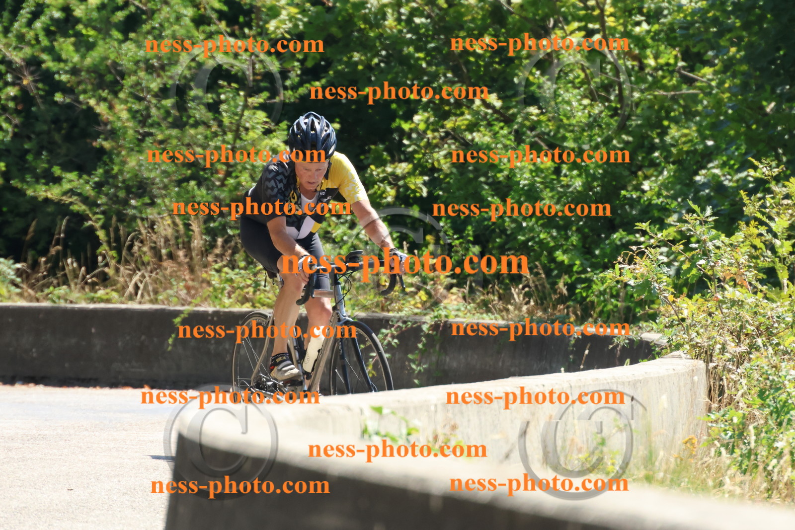 Col du Grand Colombier (353).JPG