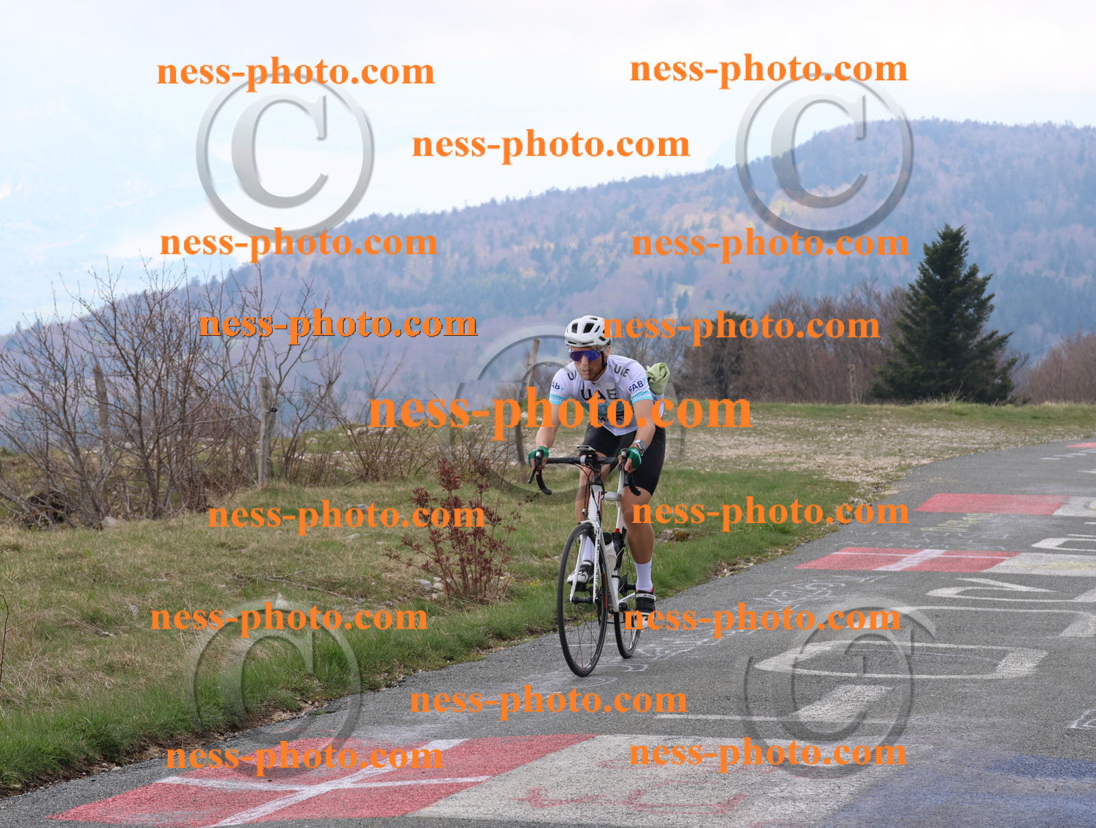 Col du Grand Colombier (147).JPG