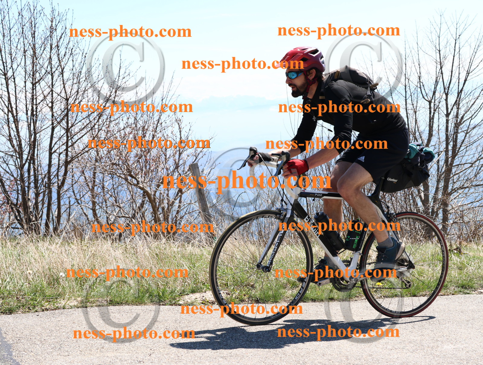 Col du Grand Colombier (210).JPG