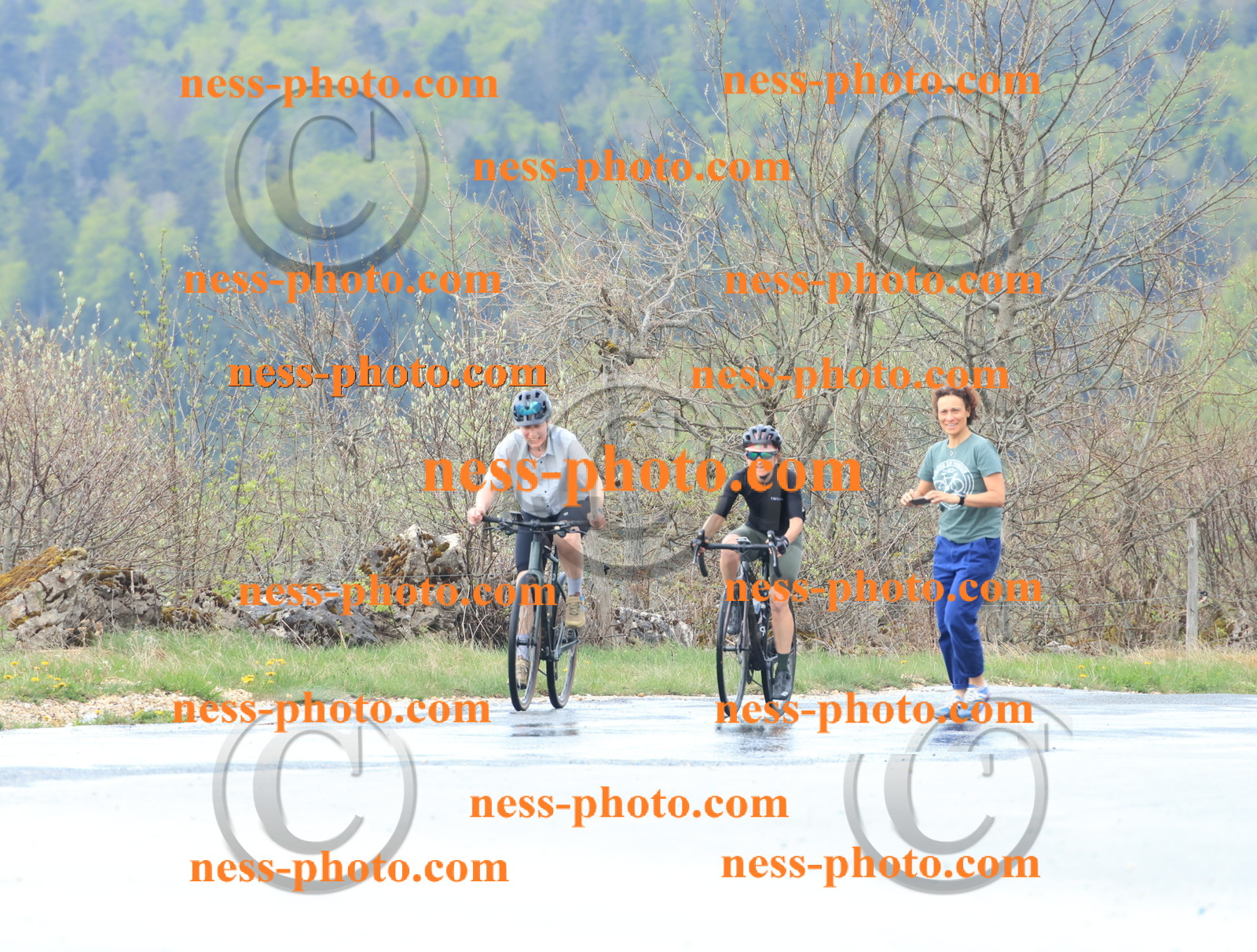 Col du Grand Colombier (221).JPG