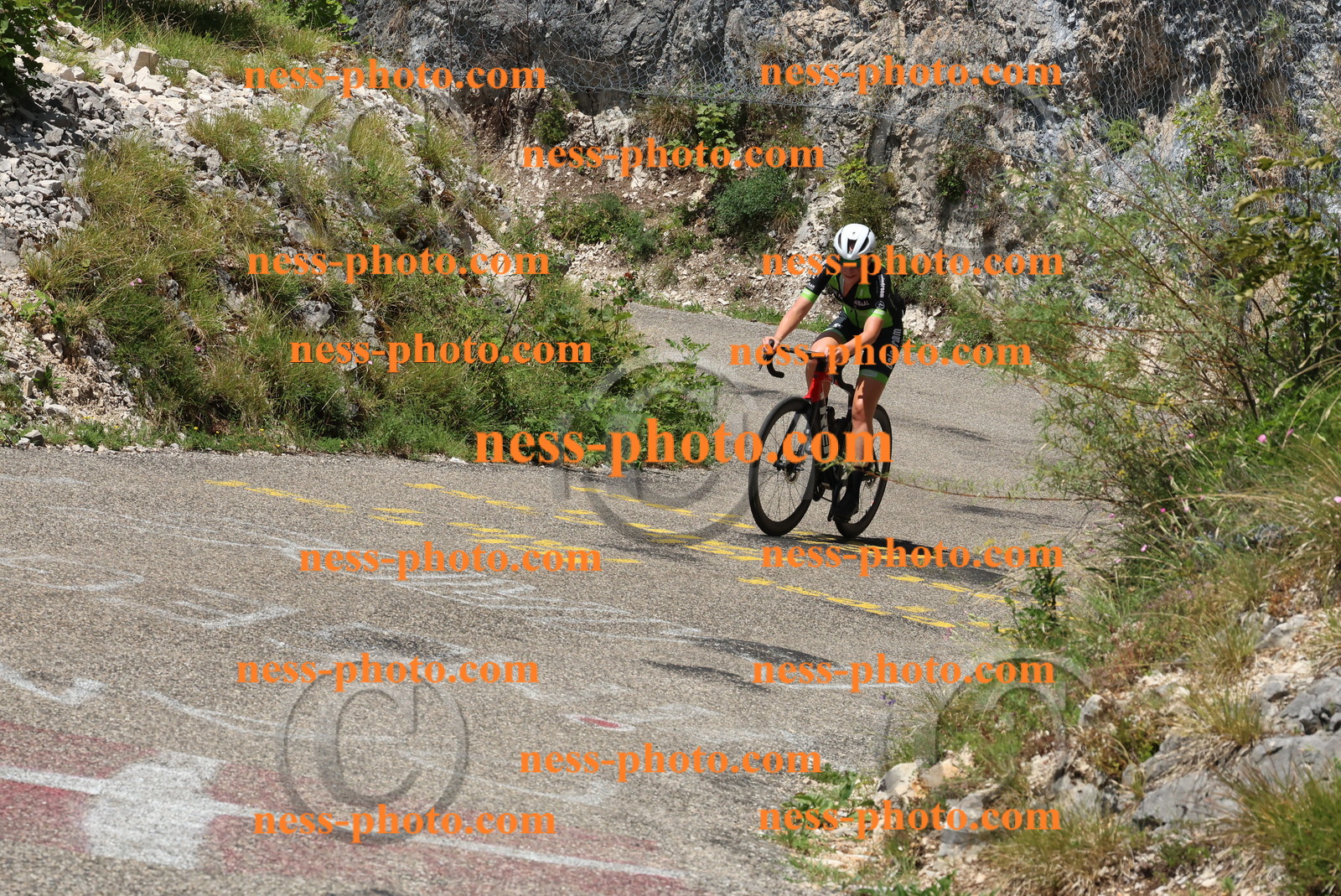 Col du Grand Colombier (185).JPG