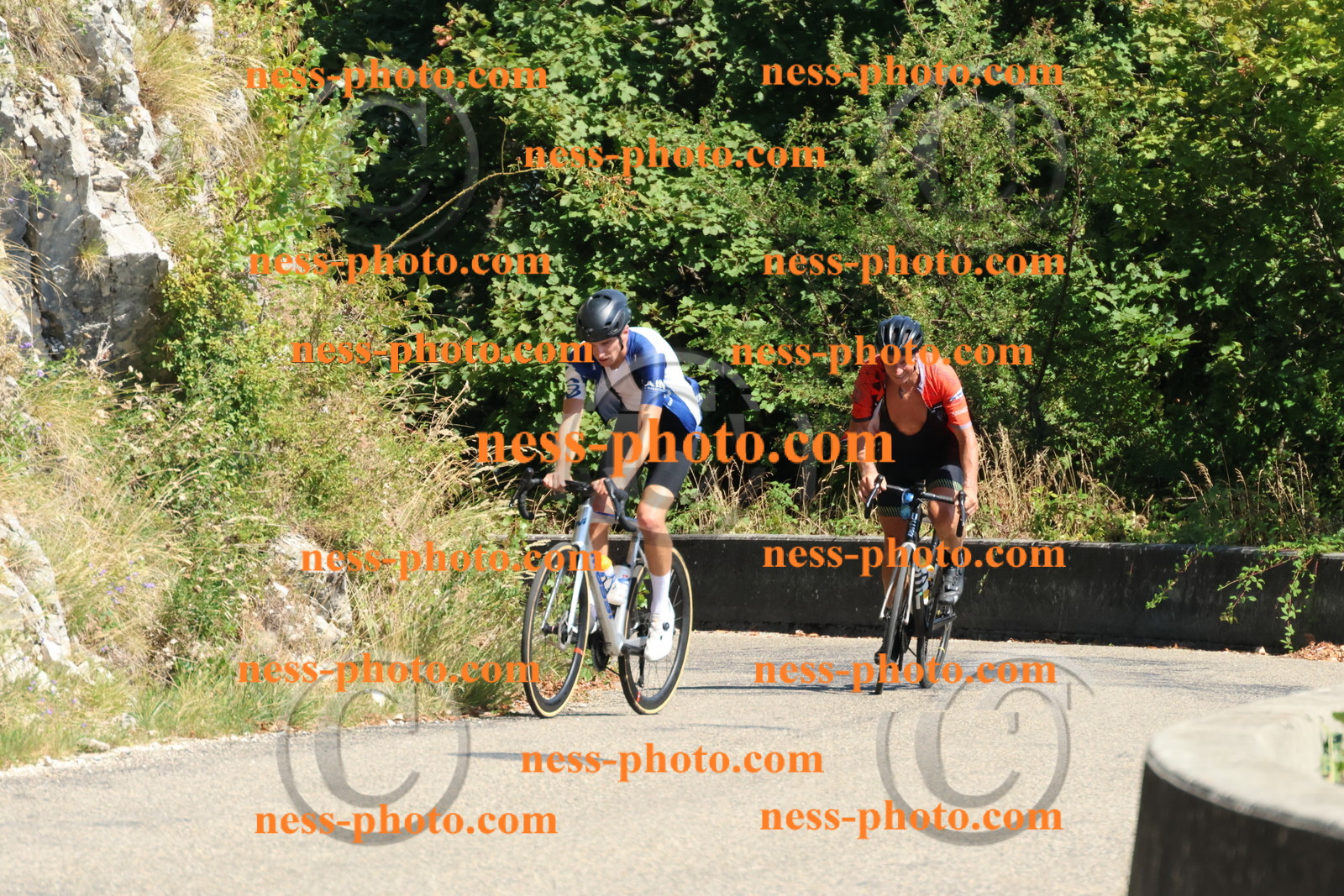 Col du Grand Colombier (668).JPG