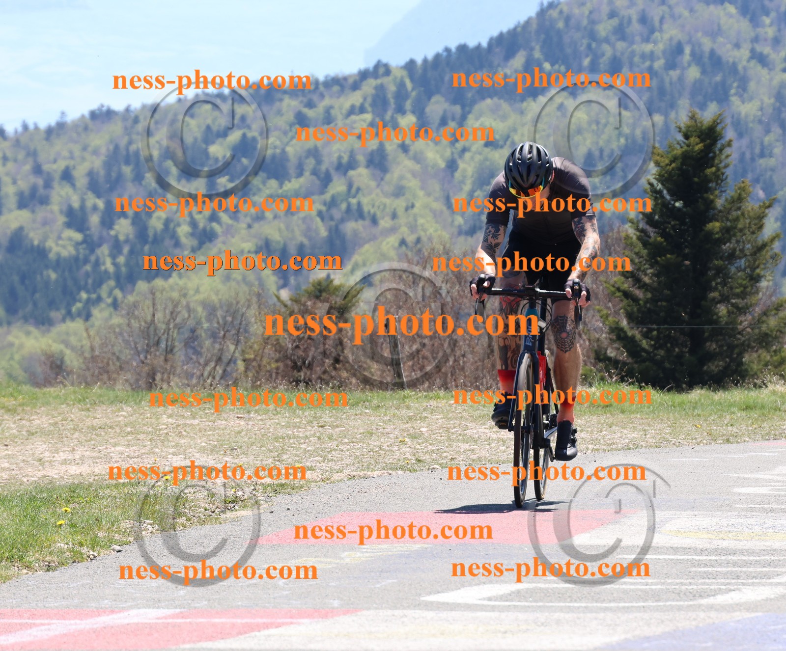 Col du Grand Colombier (621).JPG