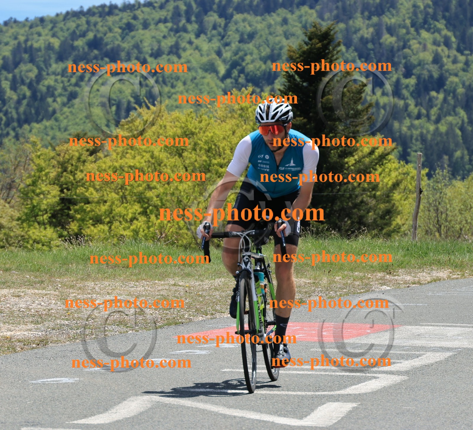 Col du Grand Colombier (494).JPG
