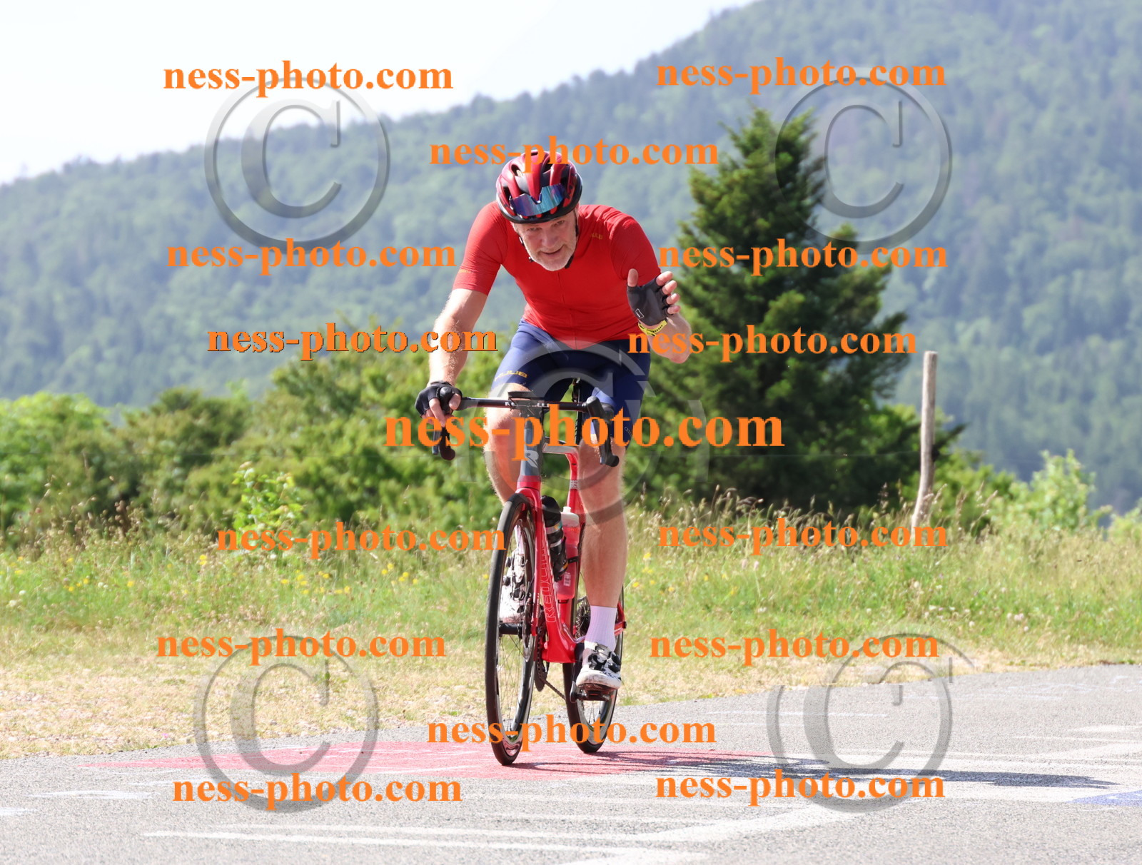 Col du grand Colombier (664).JPG