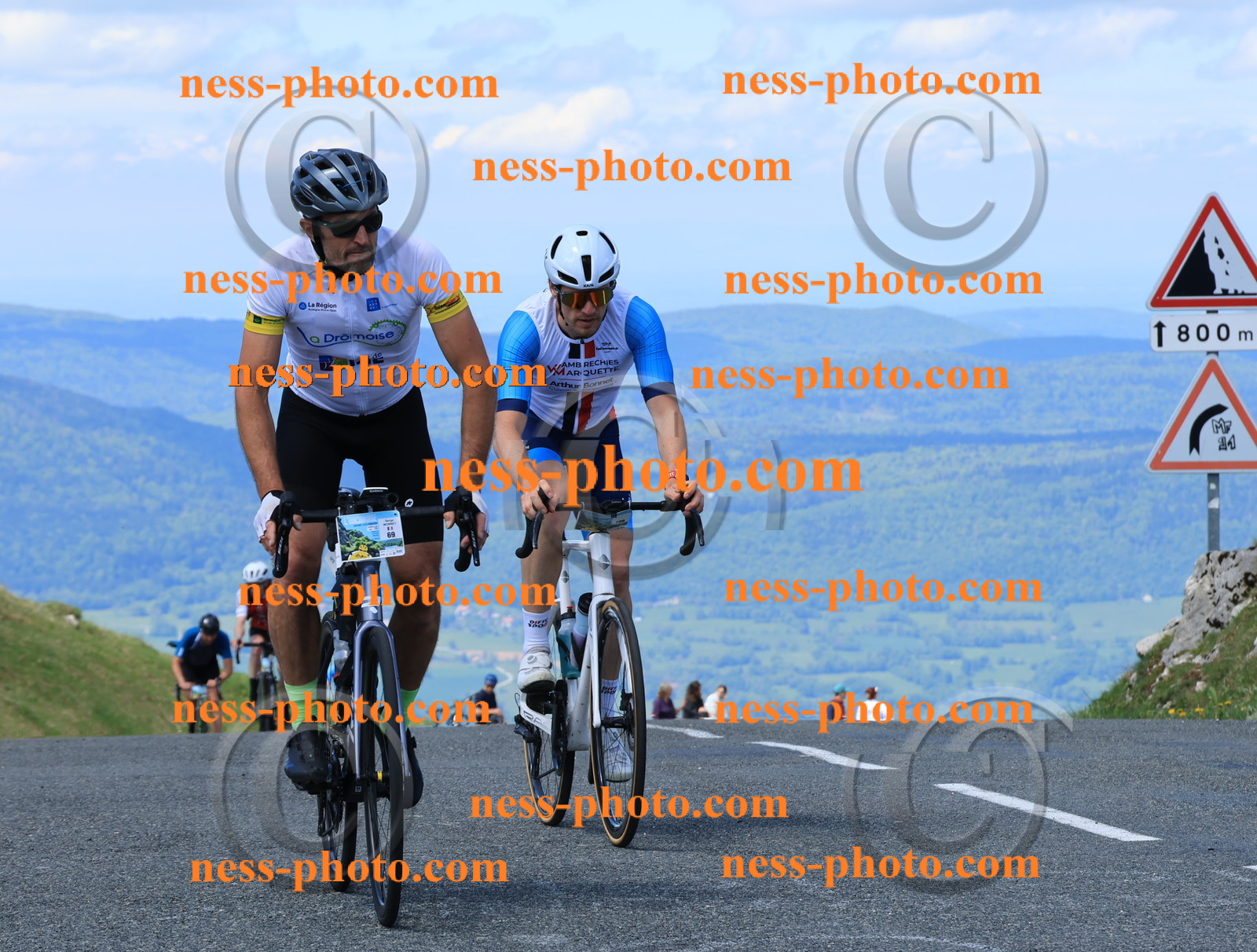 Col du Grand Colombier (2215).JPG