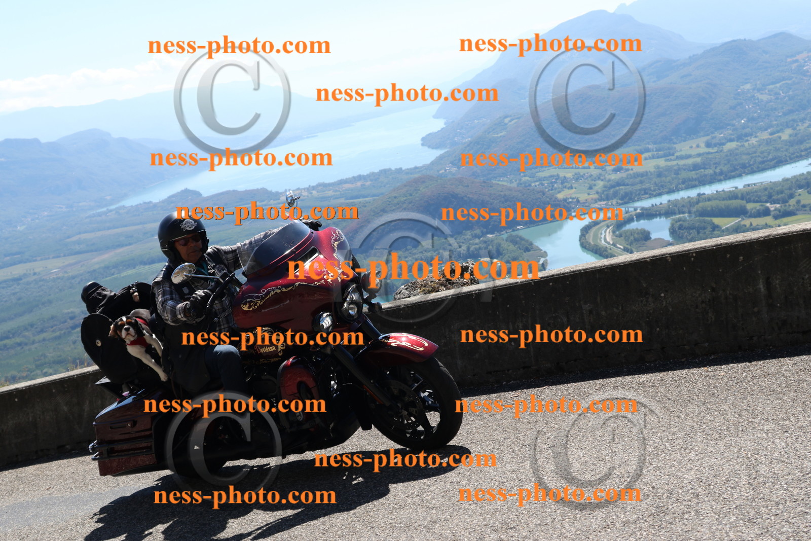 Col du Grand Colombier (262).JPG