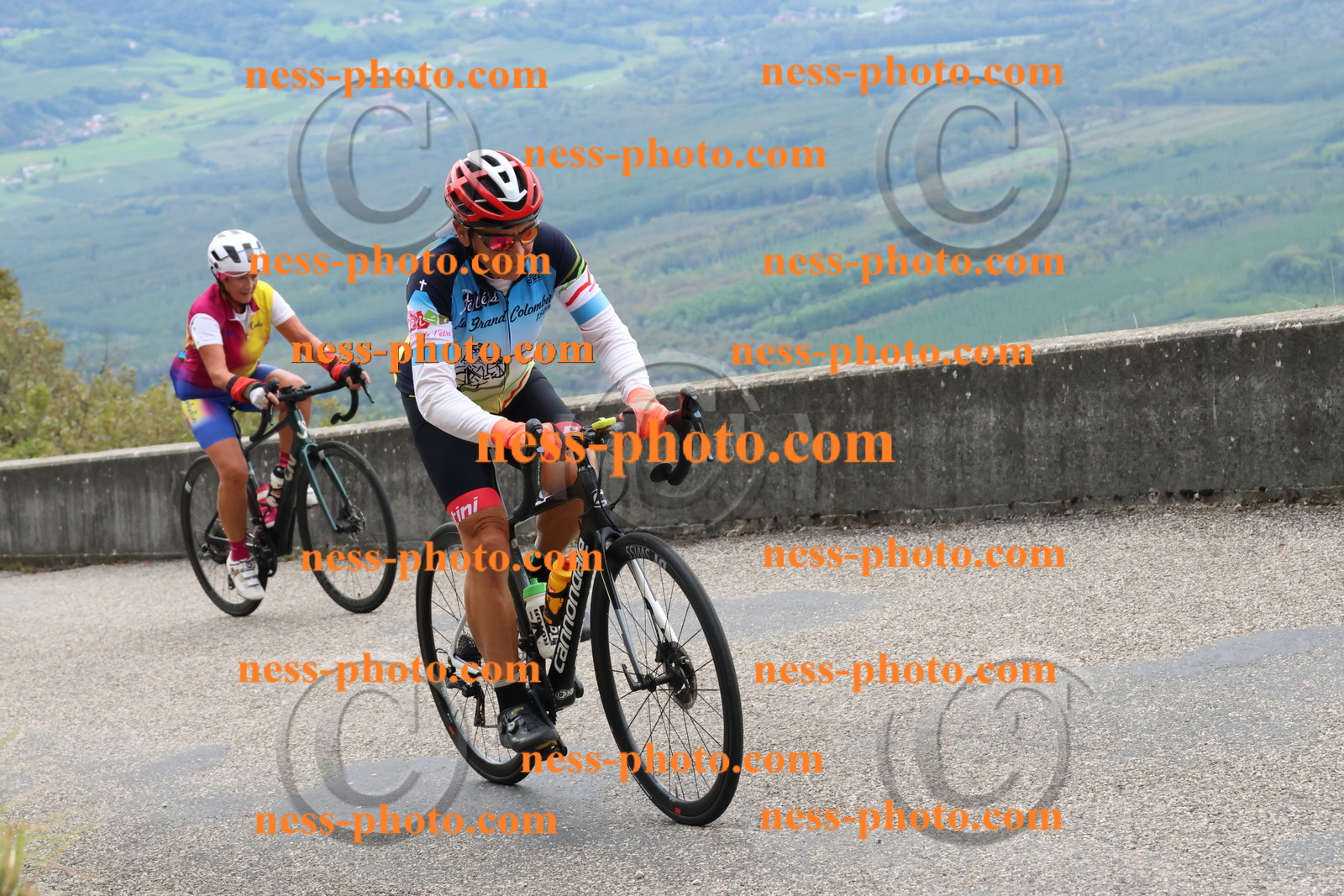 Col du Grand Colombier (448).JPG