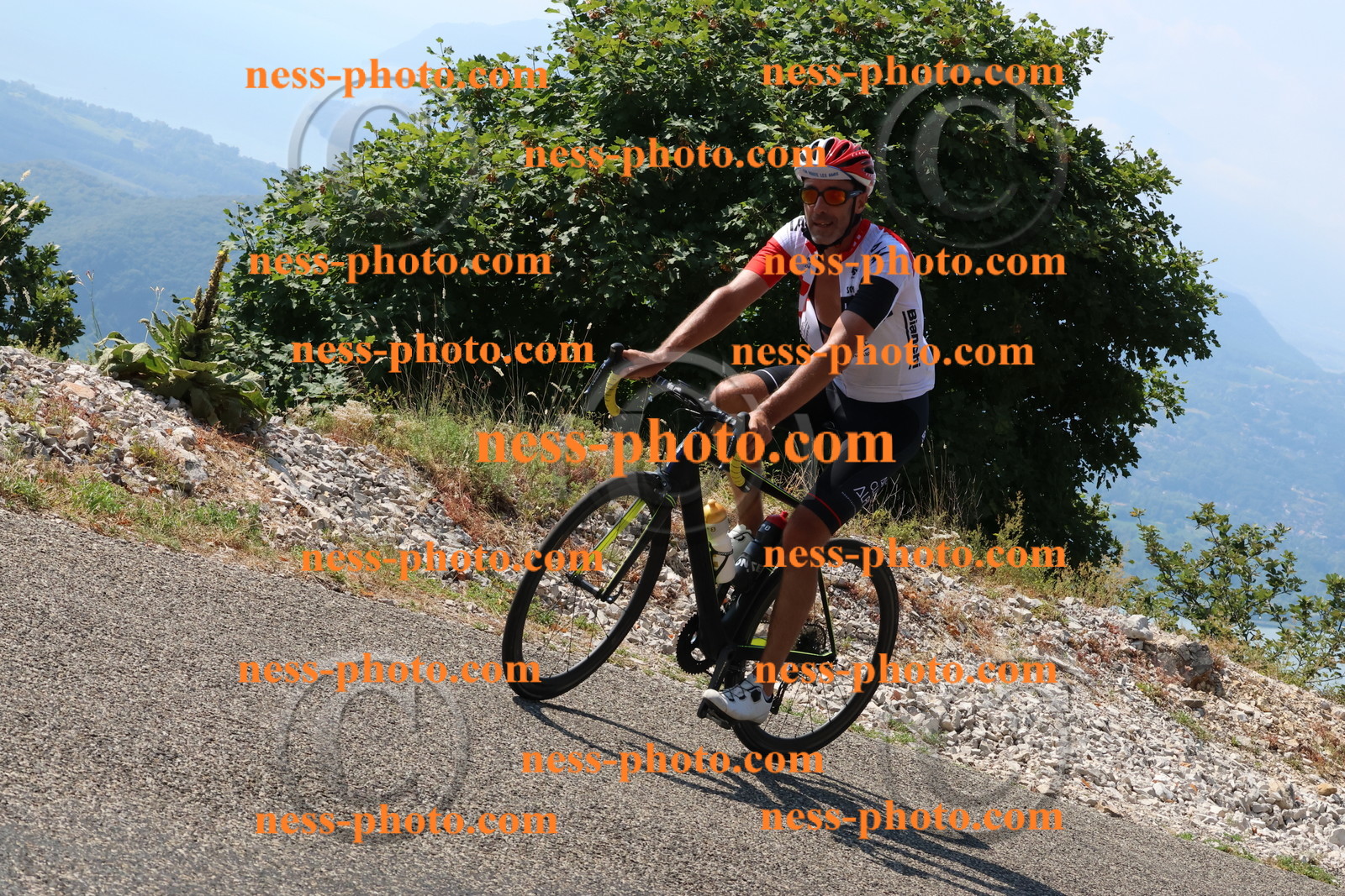 Col du Grand Colombier (318).JPG