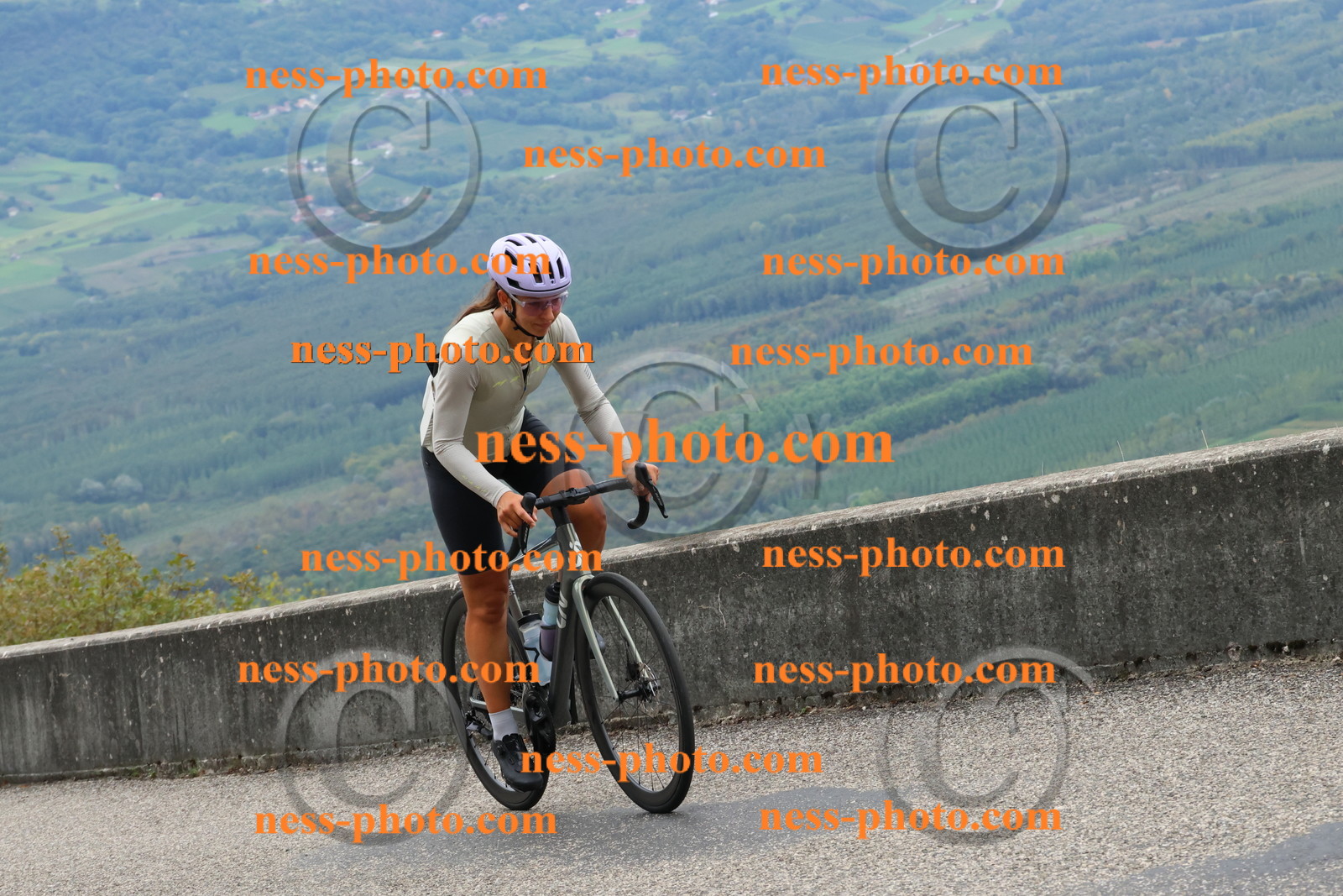 Col du Grand Colombier (1636).JPG