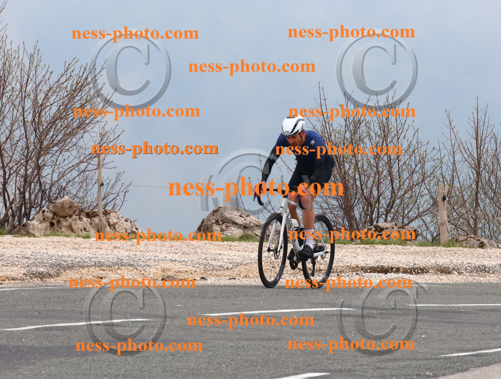 Col du Grand Colombier (480).JPG