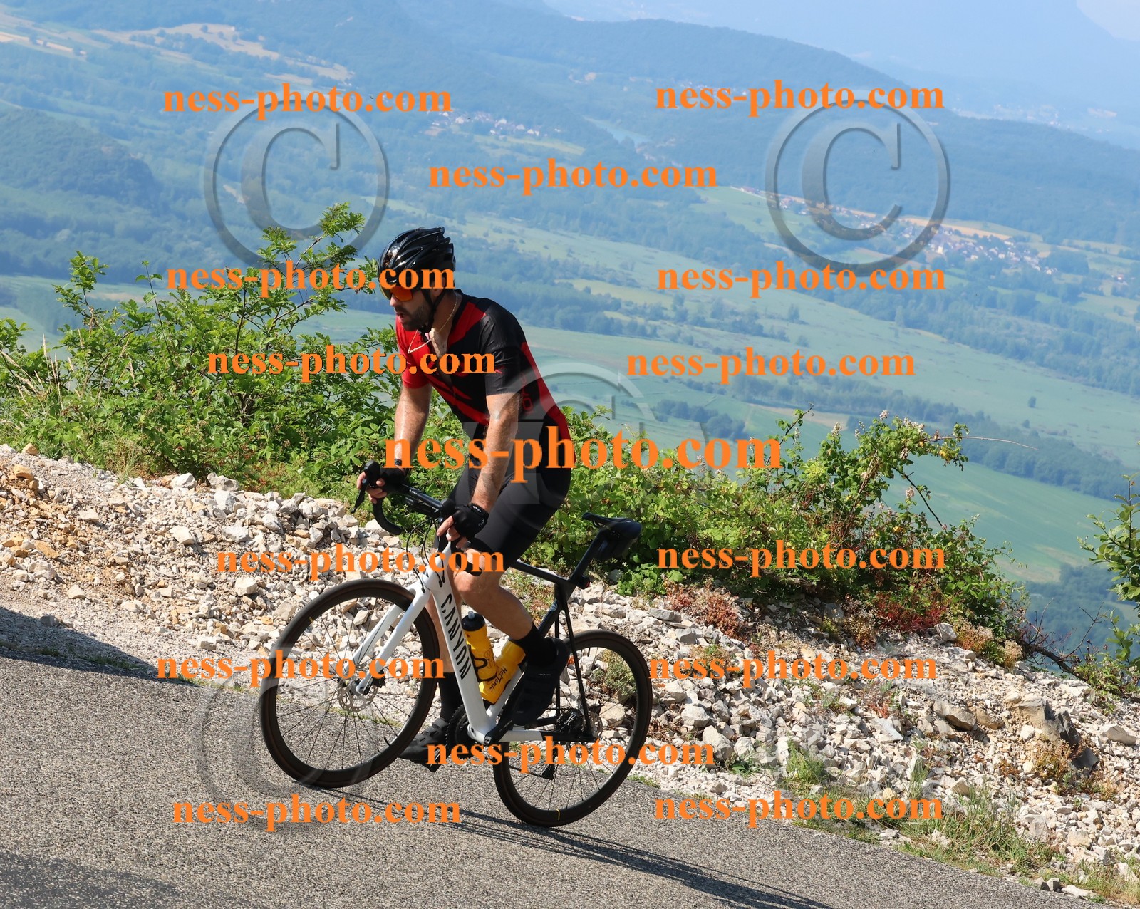 Col du Grand Colombier (176).JPG