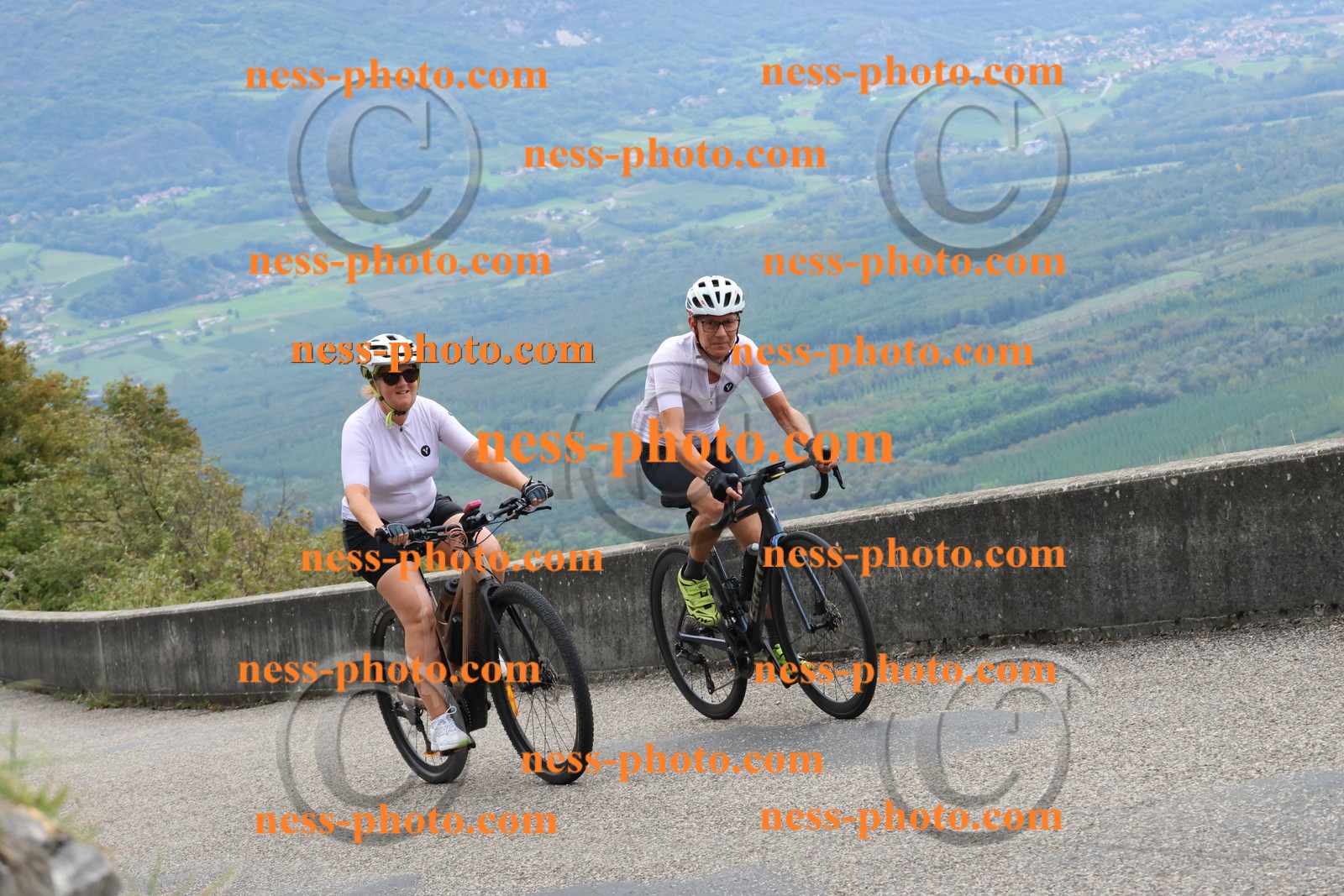 Col du Grand Colombier (494).JPG