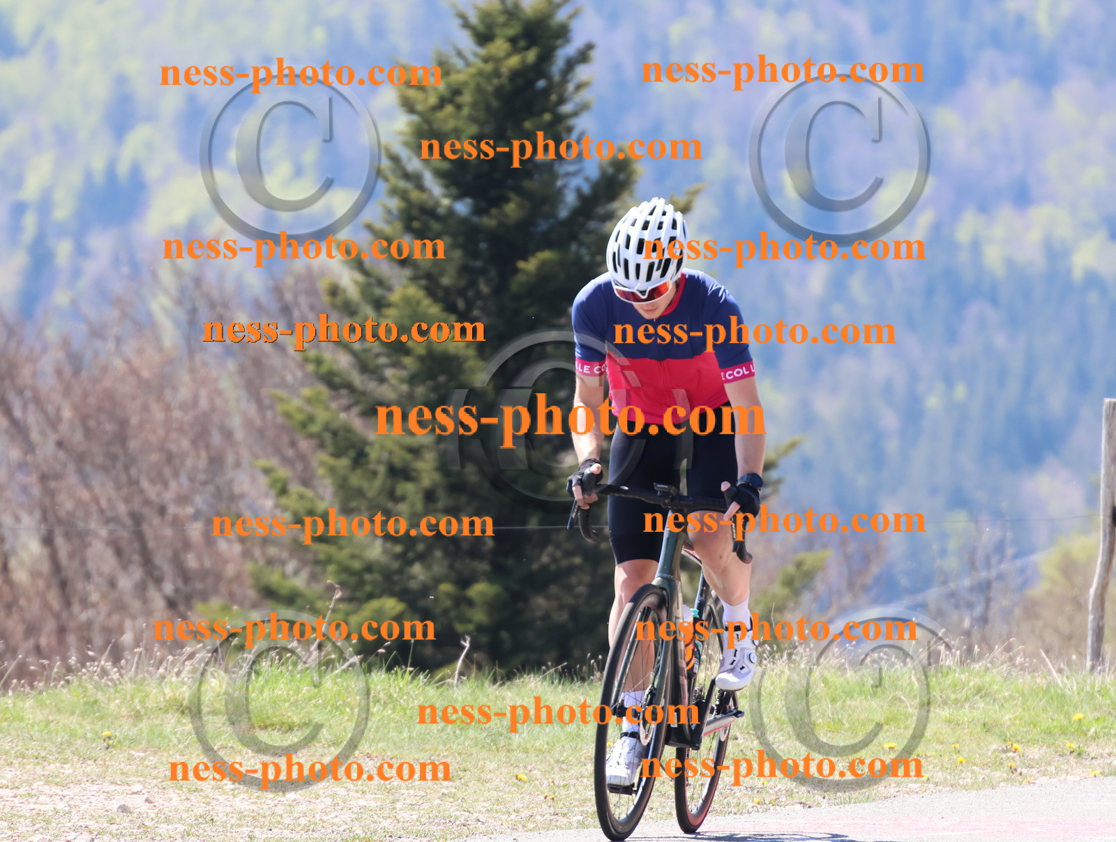 Col du Grand Colombier (177).JPG