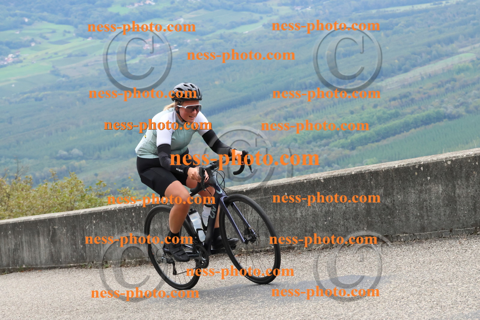 Col du Grand Colombier (381).JPG