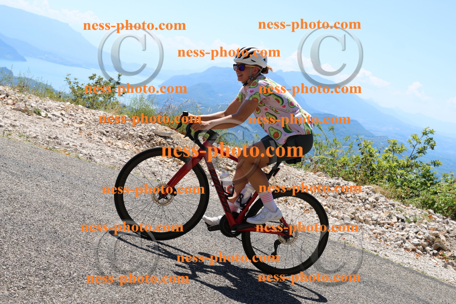 Col du Grand Colombier (2661).JPG